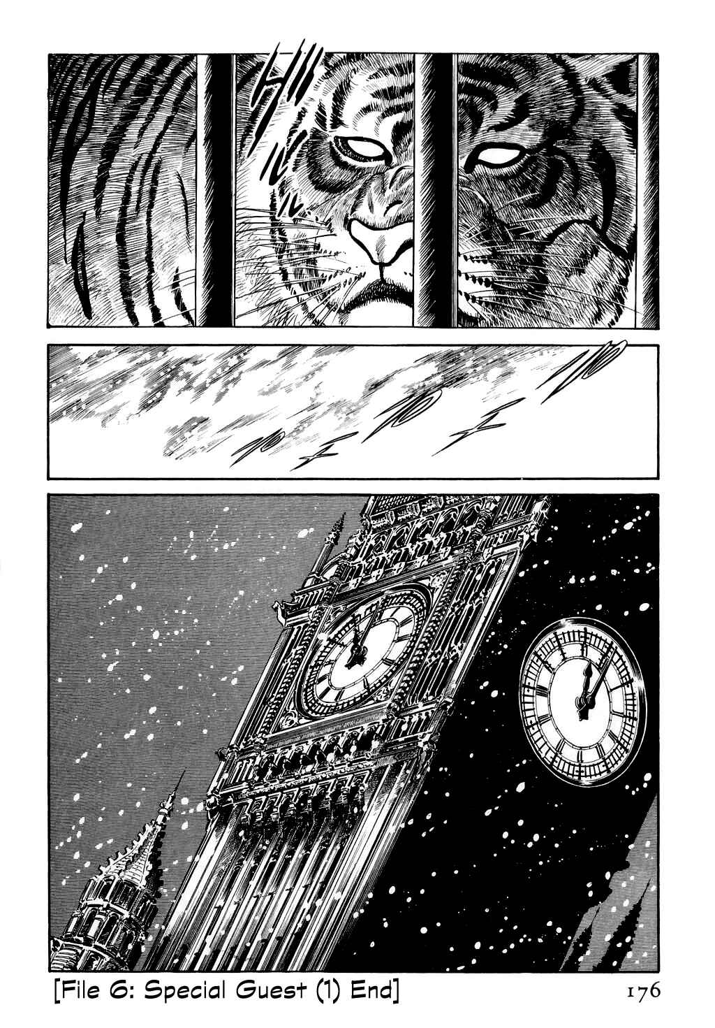 Page 40 Chapter 13 Desert Rose