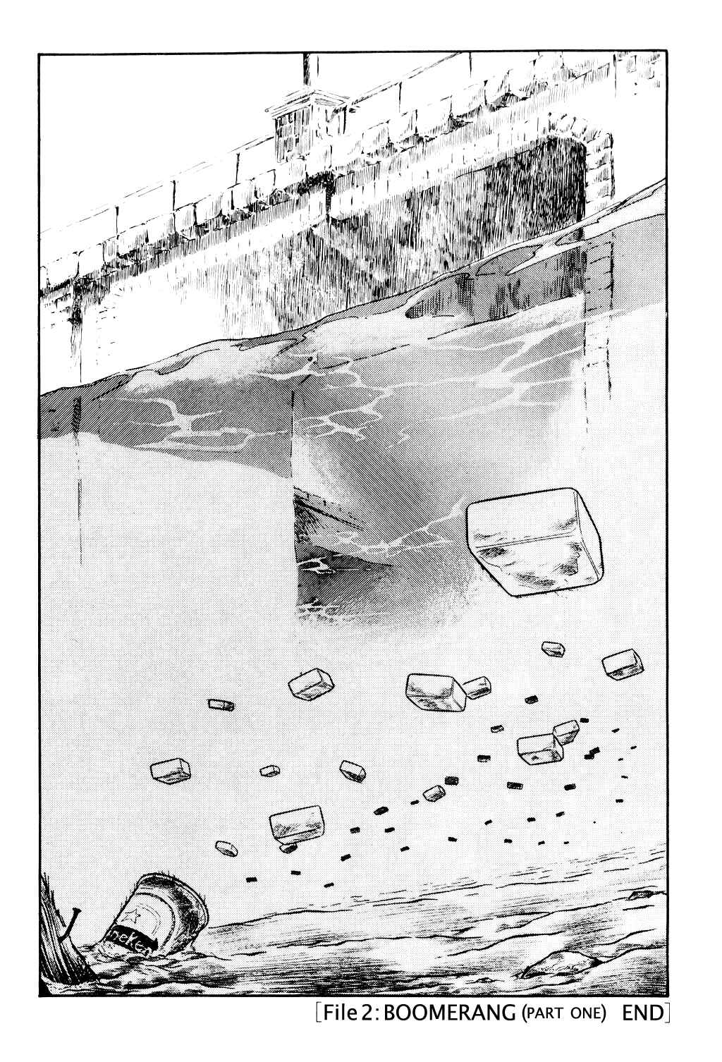 Page 41 Chapter 2 Desert Rose