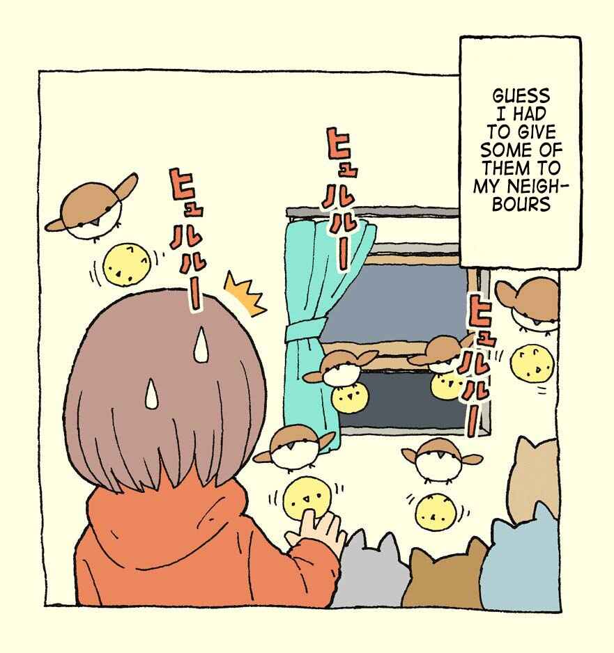 Page 3 Chapter 11 Kemoraifu