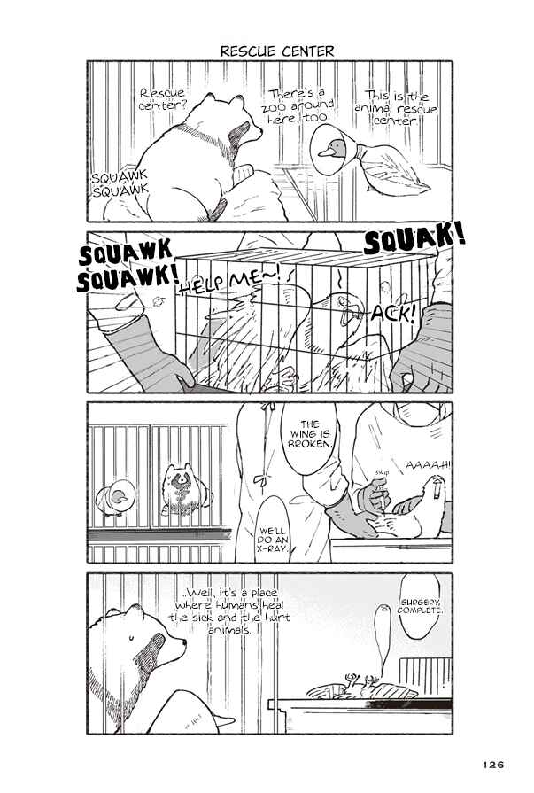 Page 12 Chapter 5 Bear and Tanuki