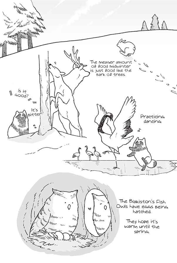 Page 25 Chapter 4 Bear and Tanuki