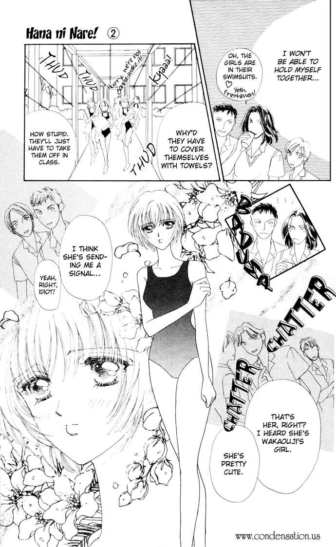 Page 17 Chapter 8 Hana ni Nare!