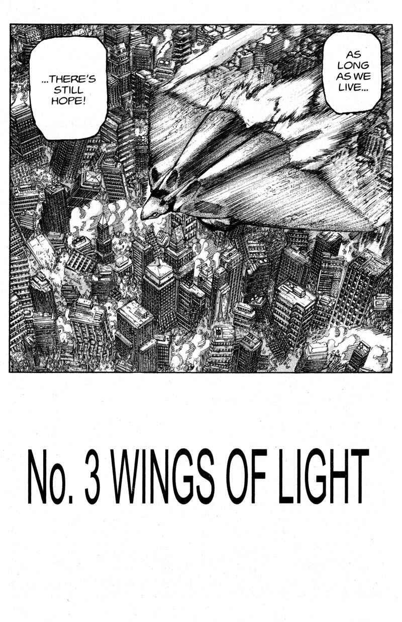 Page 3 Chapter 201 ARMS