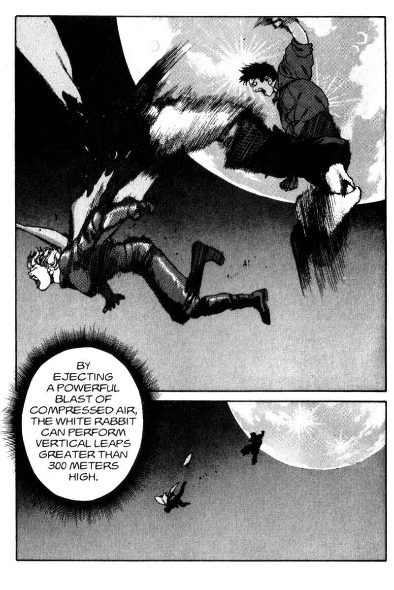 Page 8 Chapter 29 ARMS