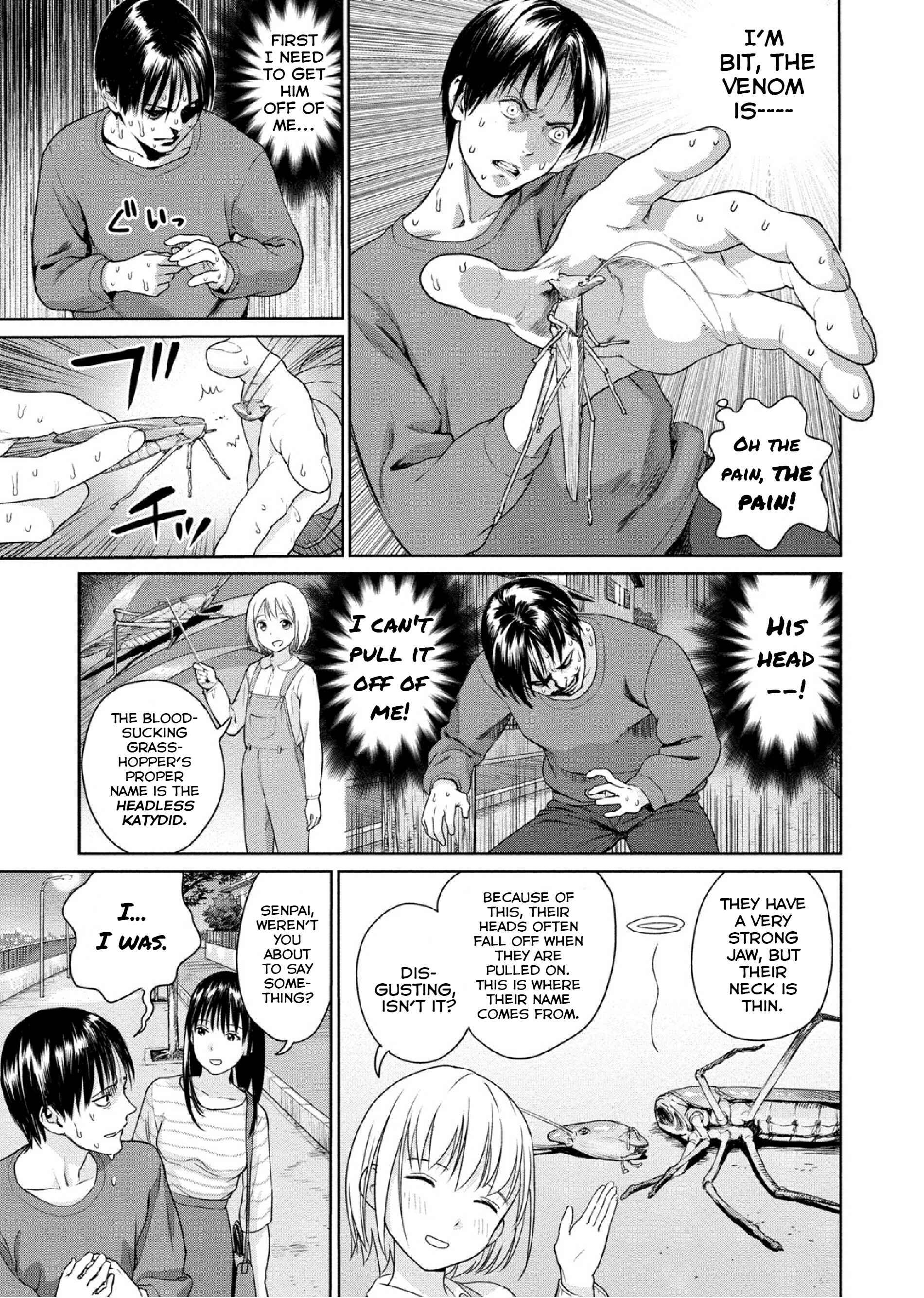 Page 7 Chapter 6 Mais Insect Life