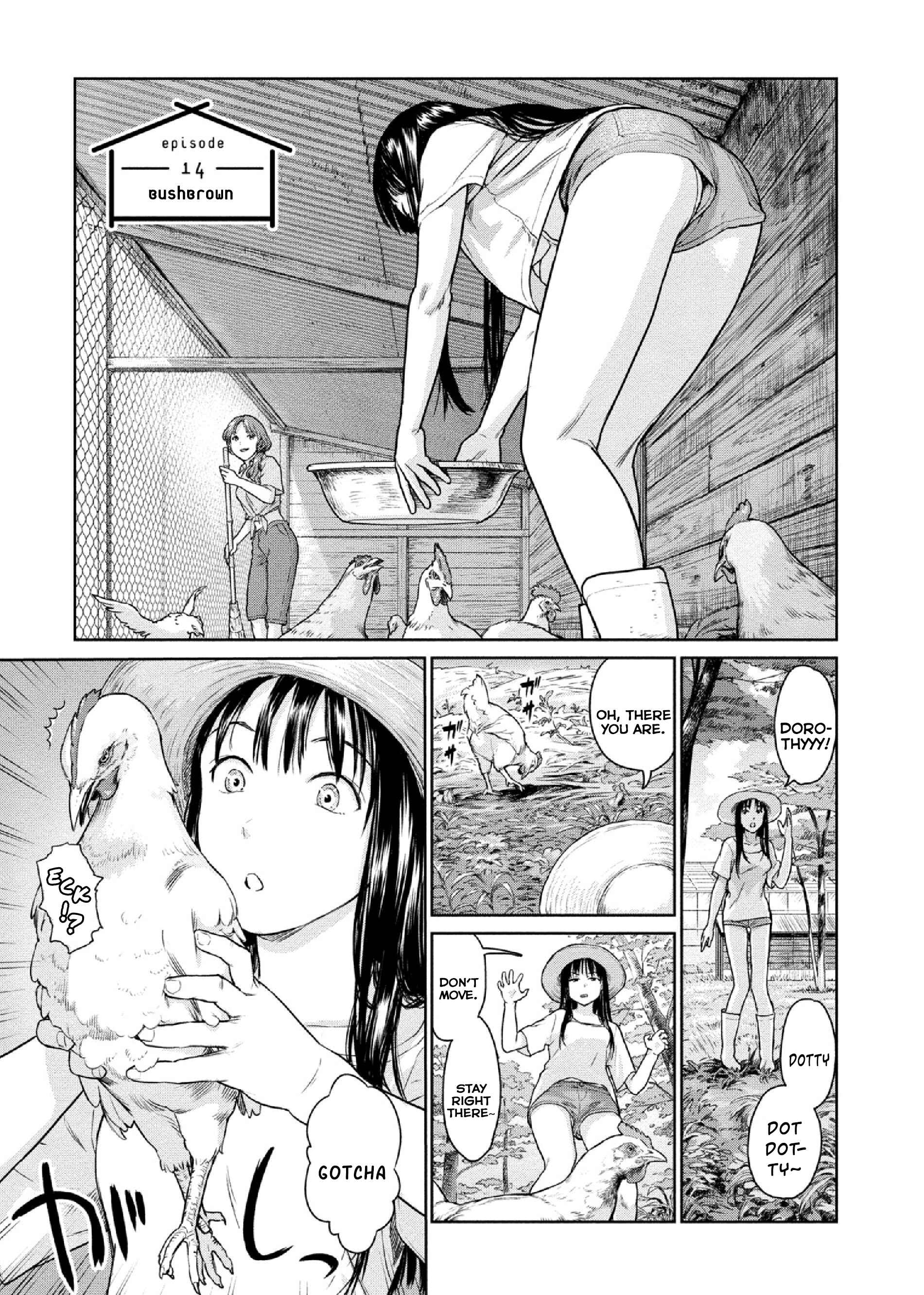 Page 1 Chapter 14 Mais Insect Life