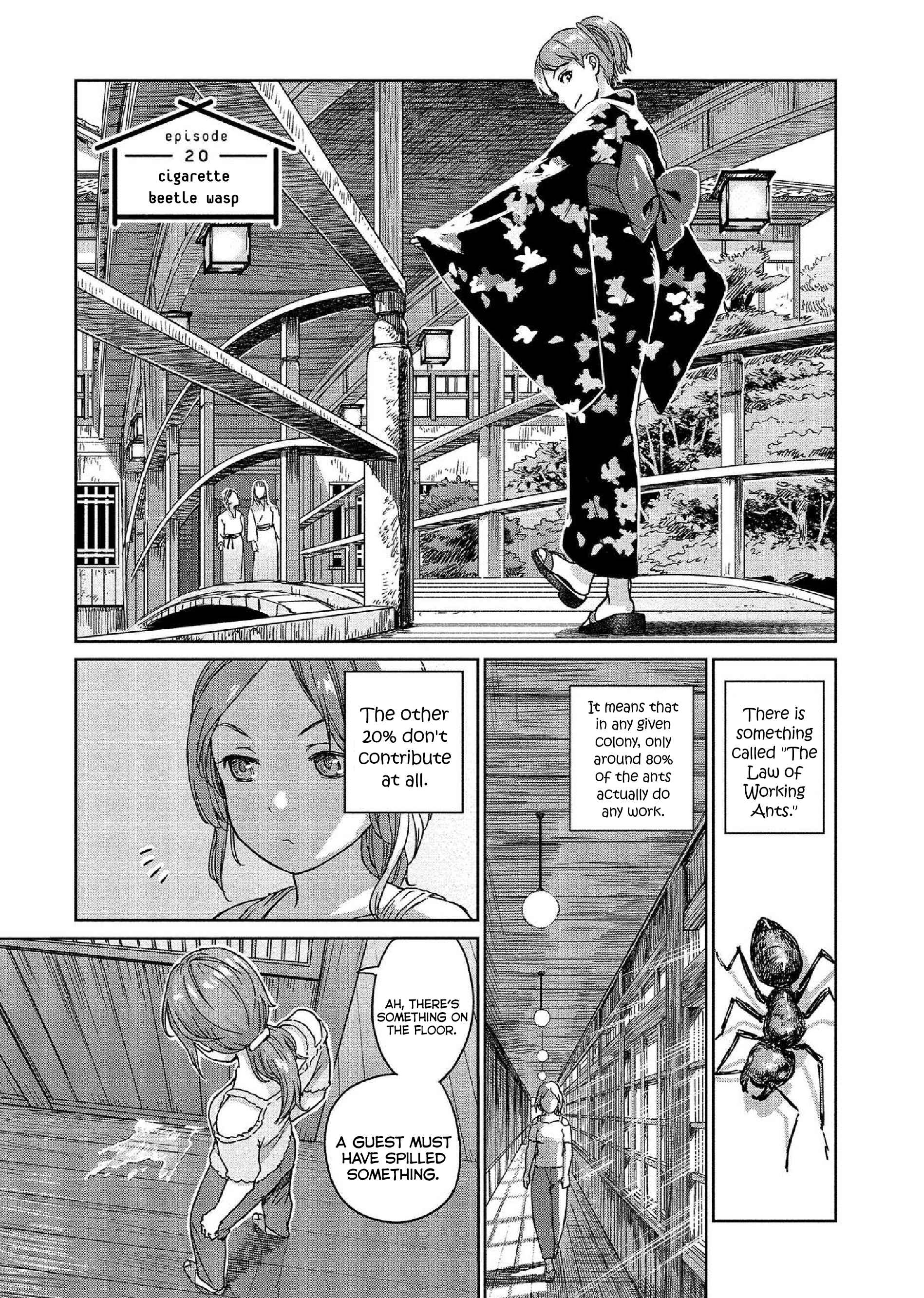 Page 1 Chapter 20 Mais Insect Life