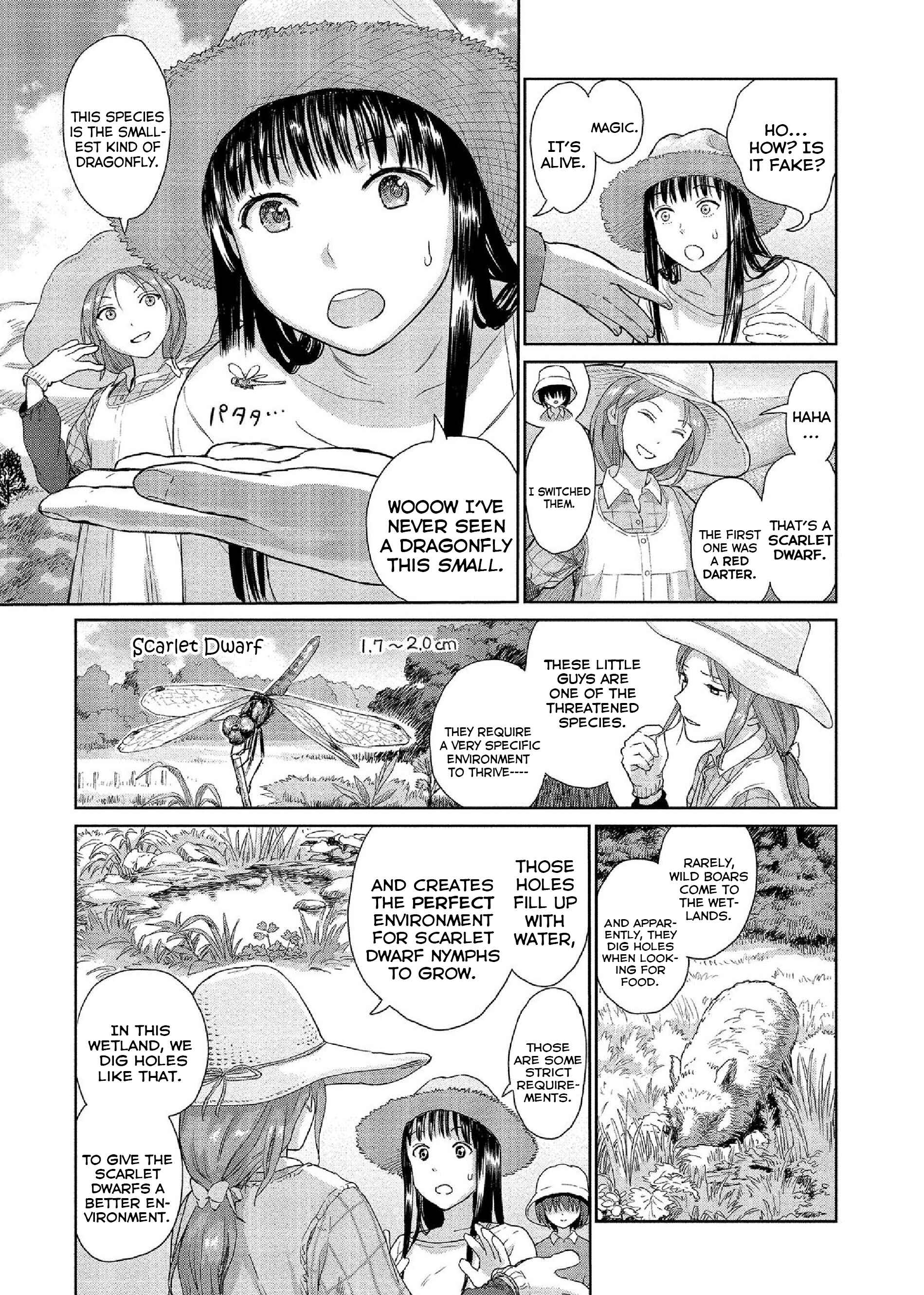 Page 5 Chapter 17 Mais Insect Life