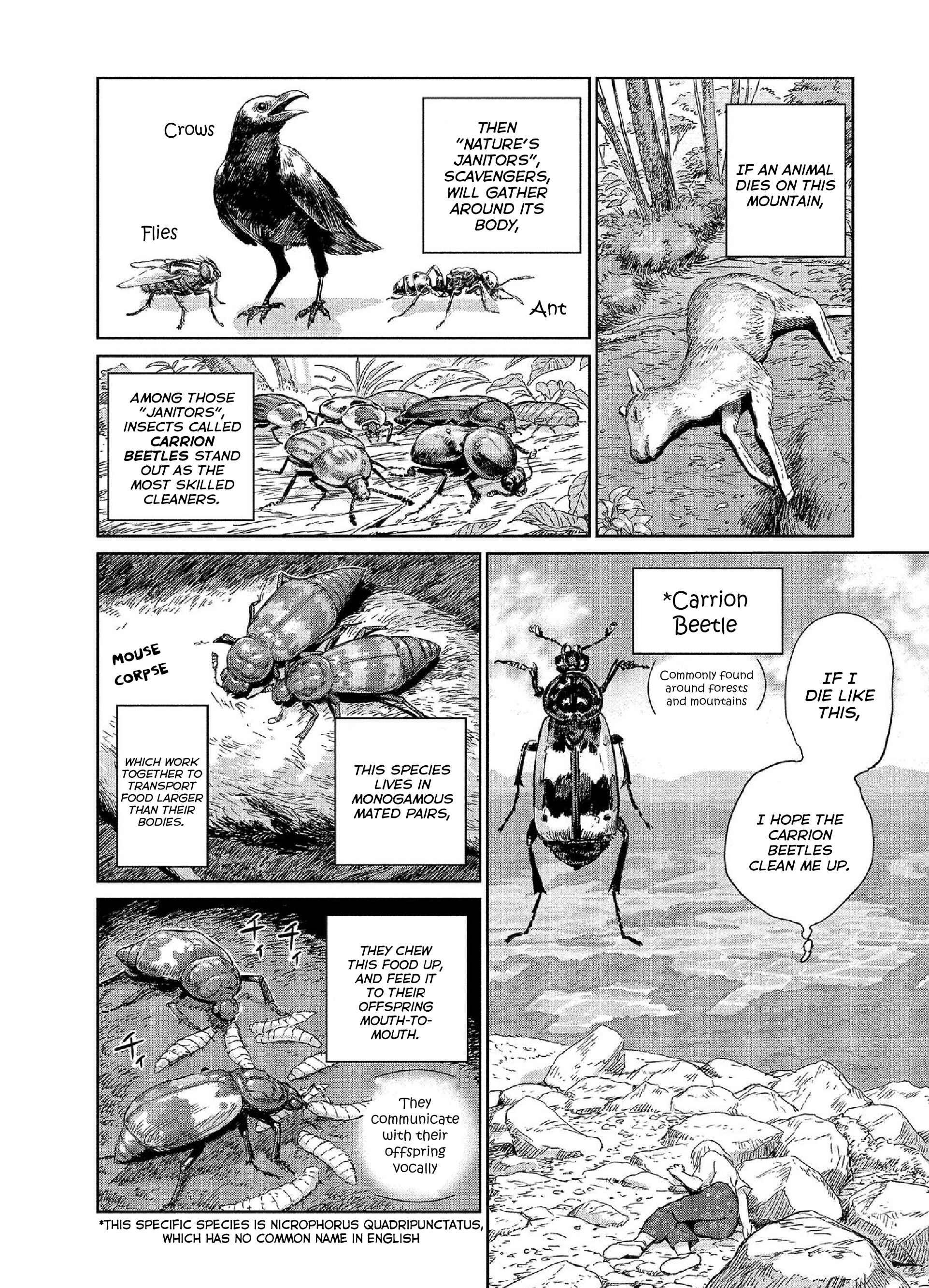 Page 6 Chapter 25 Mais Insect Life