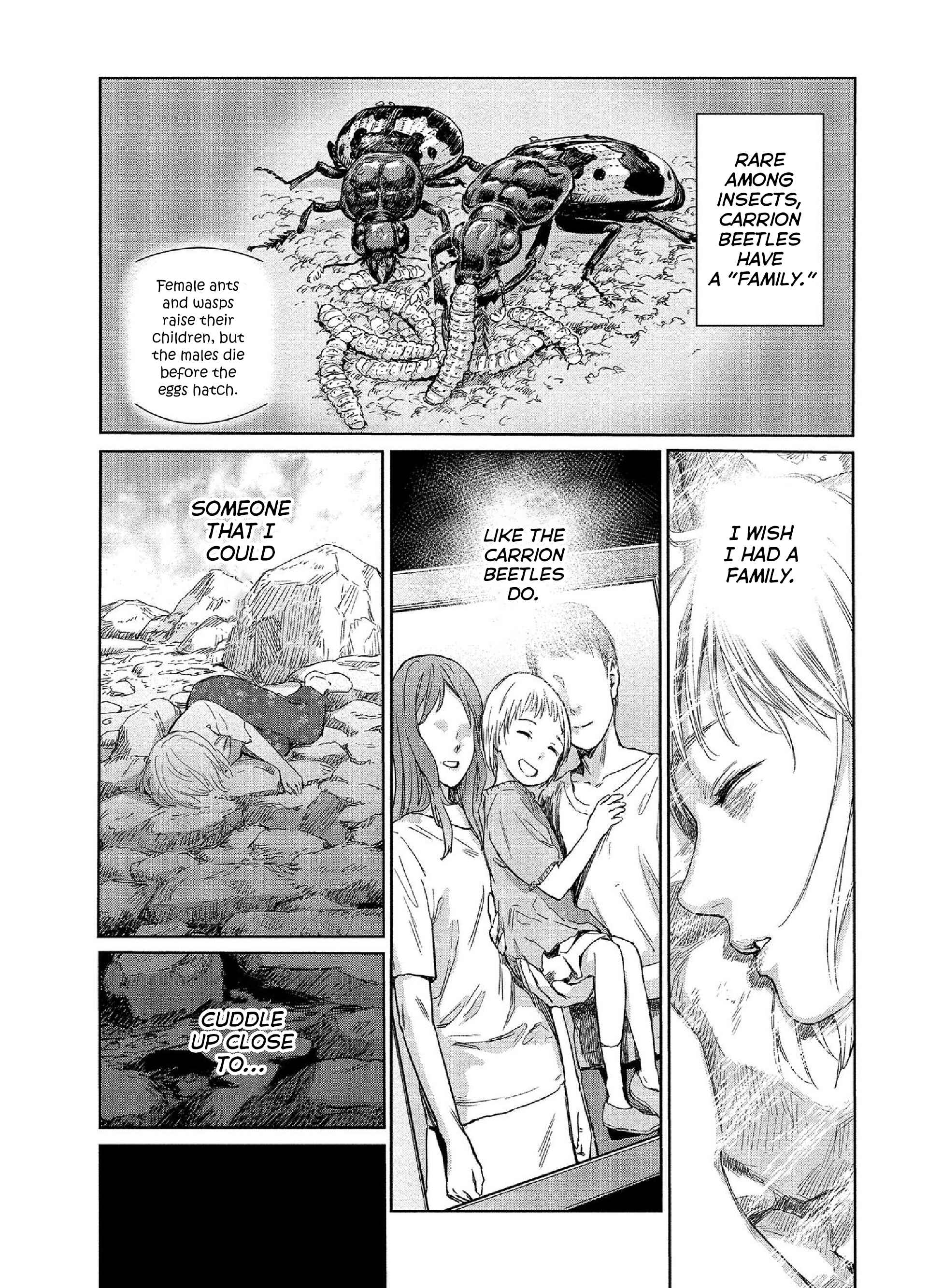 Page 7 Chapter 25 Mais Insect Life