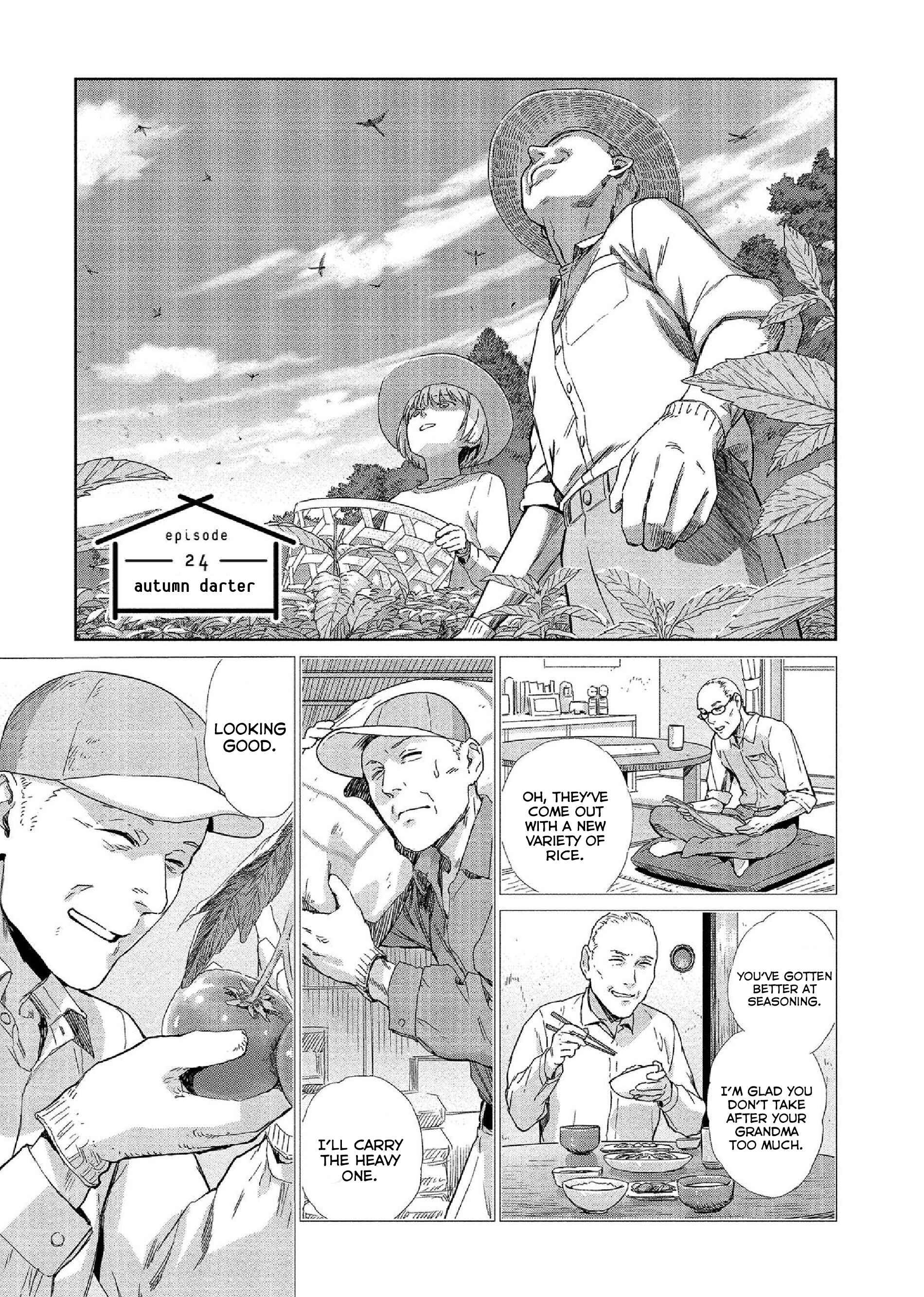 Page 1 Chapter 24 Mais Insect Life