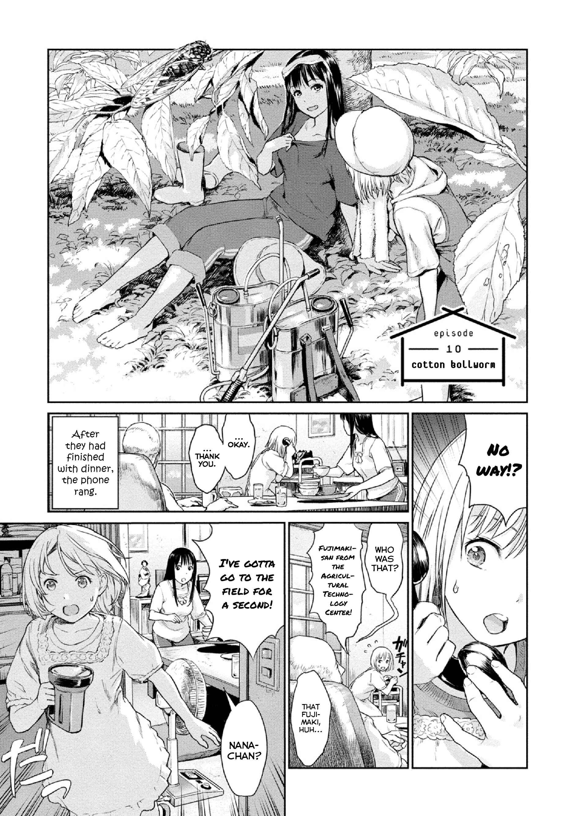 Page 1 Chapter 10 Mais Insect Life