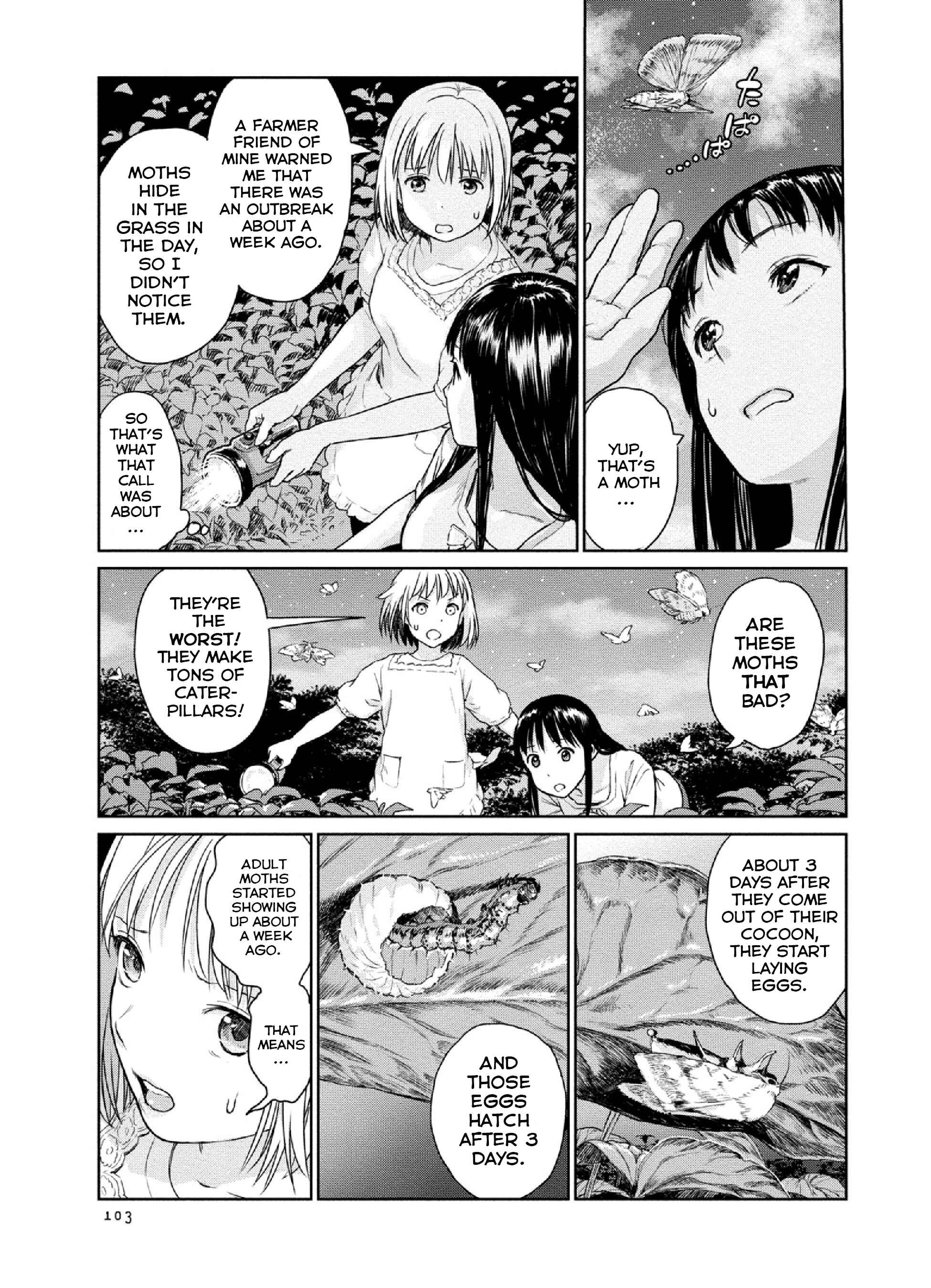 Page 3 Chapter 10 Mais Insect Life