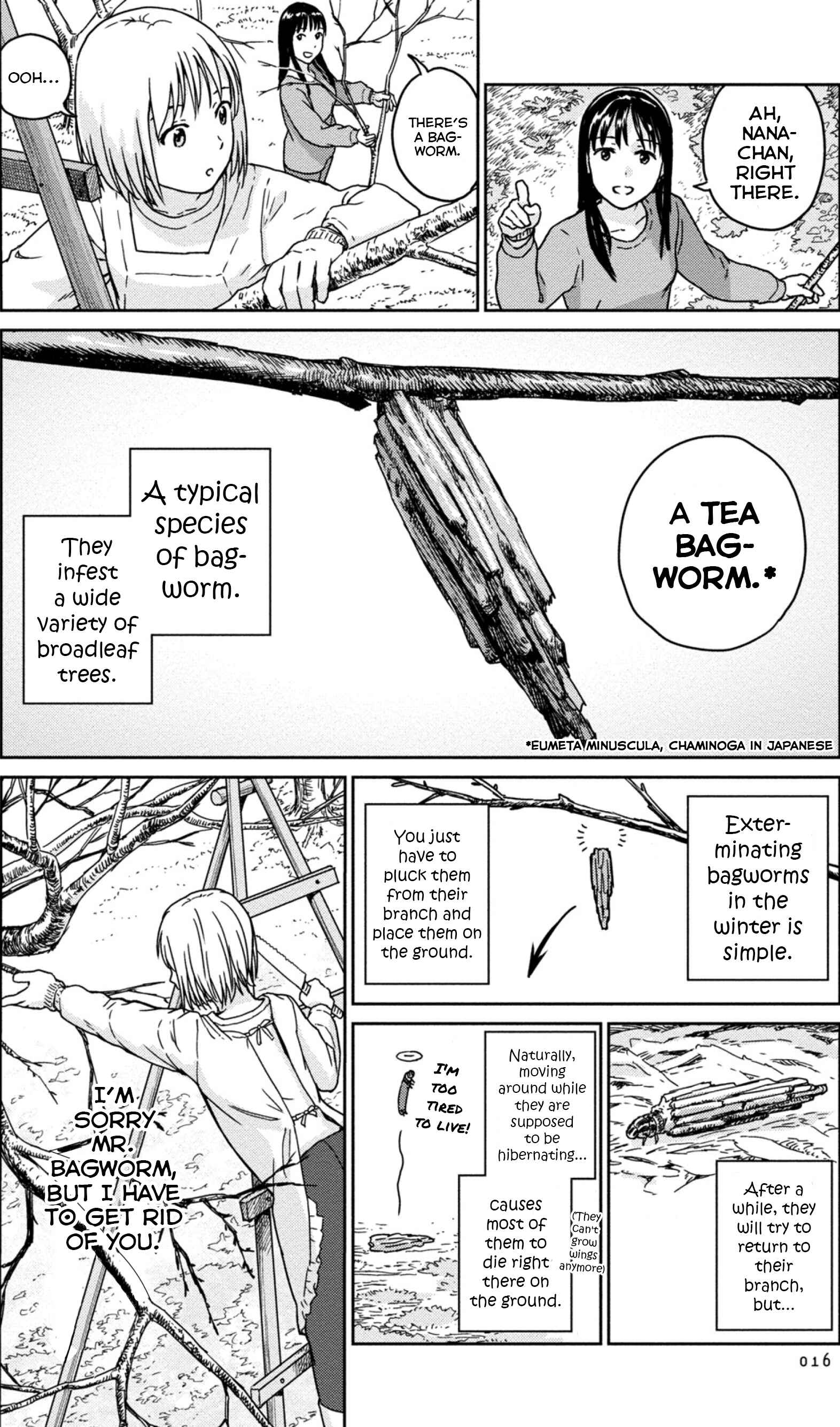 Page 4 Chapter 2 Mais Insect Life