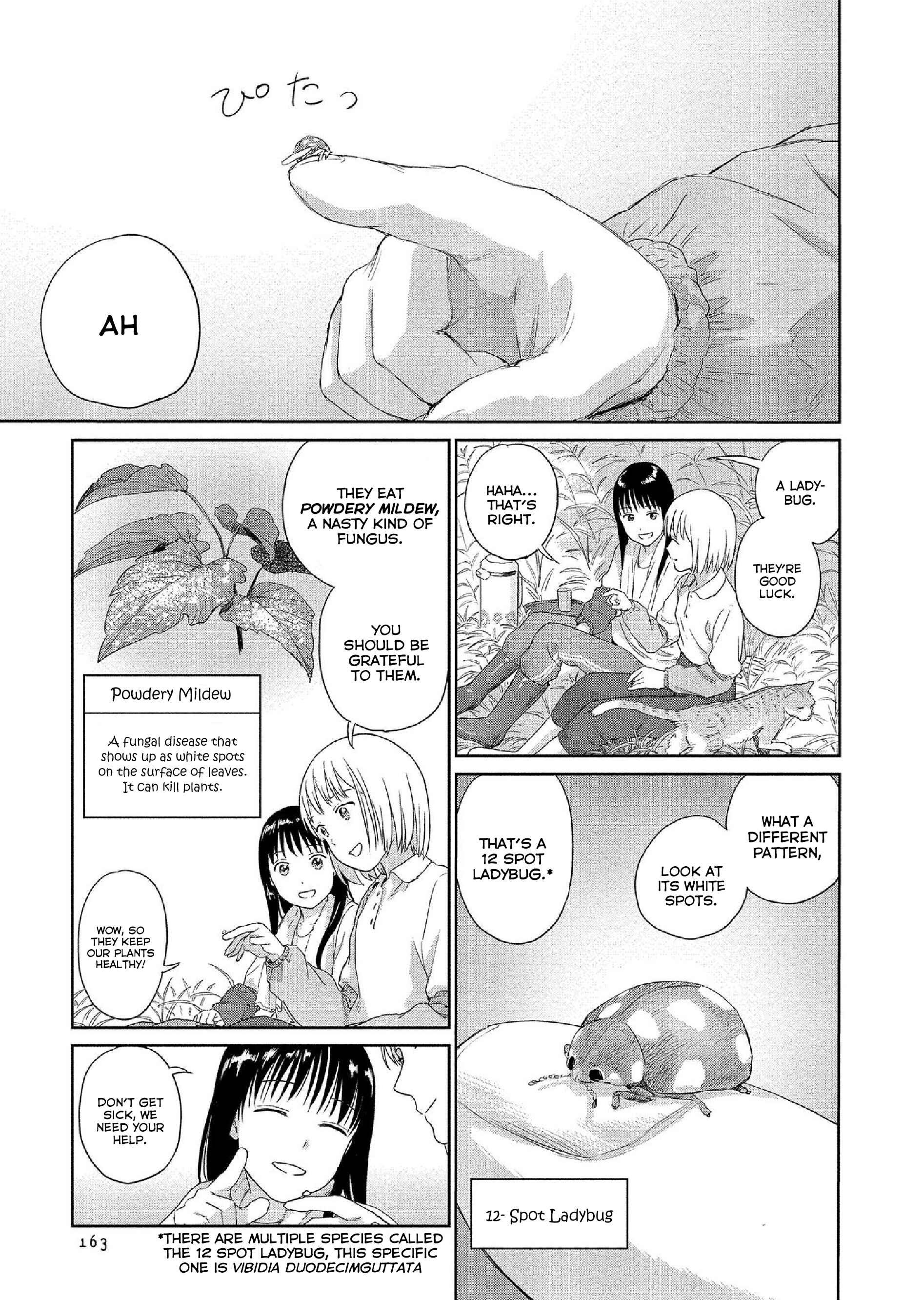 Page 3 Chapter 34 Mais Insect Life