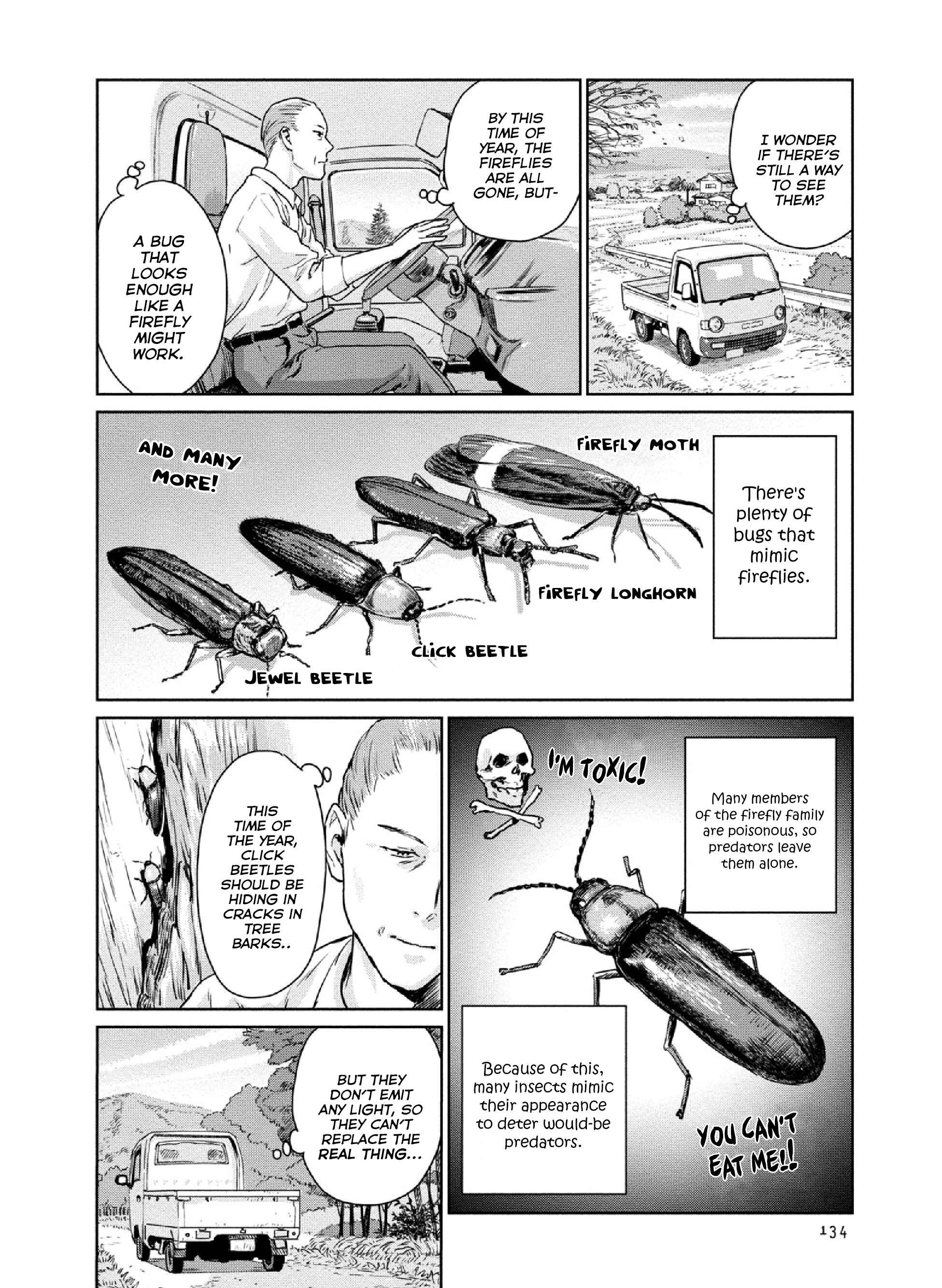 Page 6 Chapter 13 Mais Insect Life