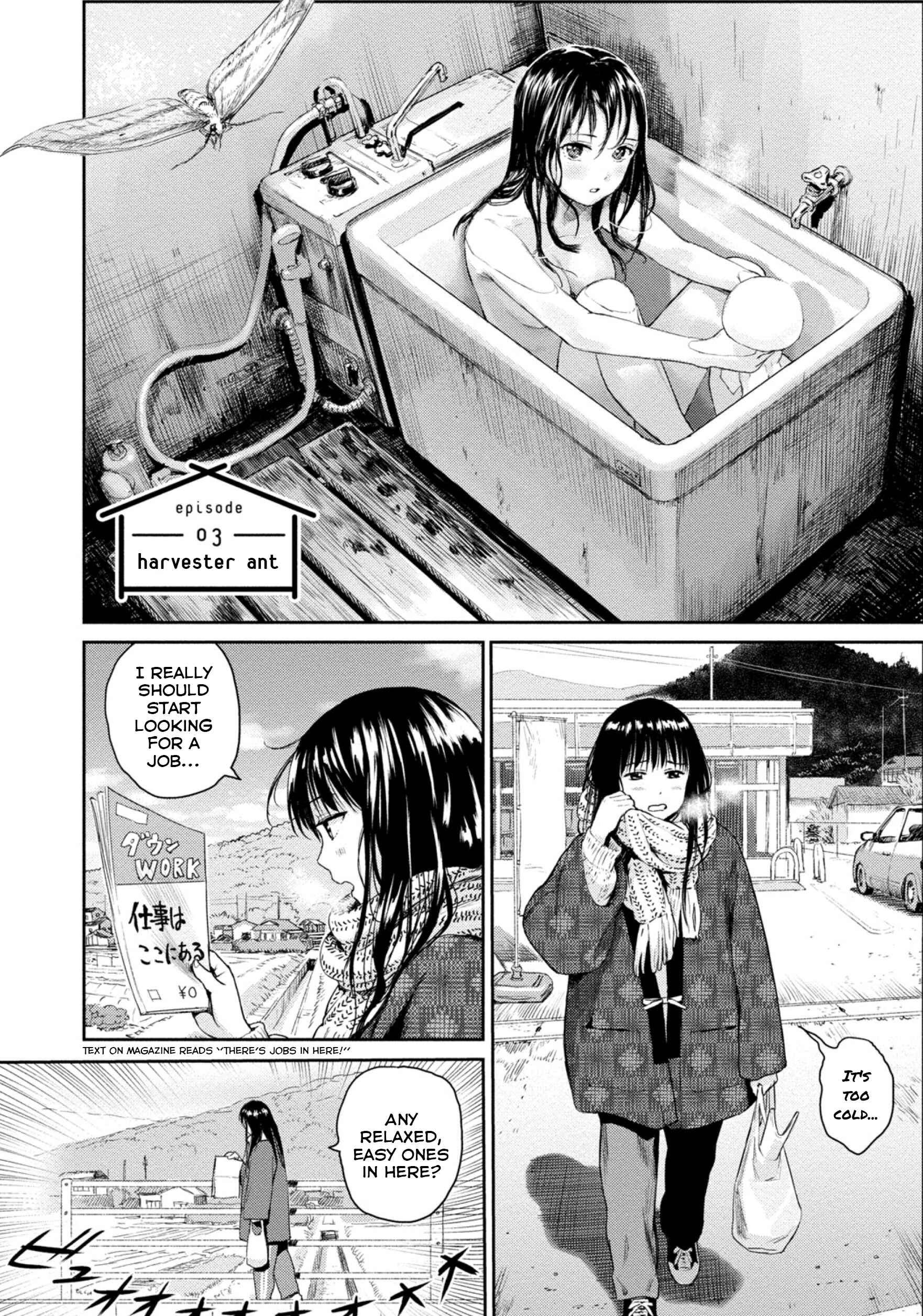 Page 1 Chapter 3 Mais Insect Life