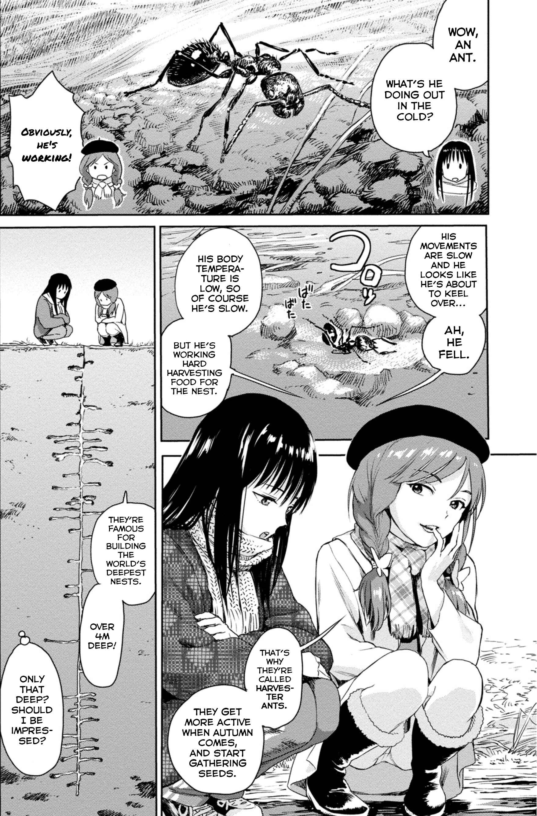 Page 4 Chapter 3 Mais Insect Life
