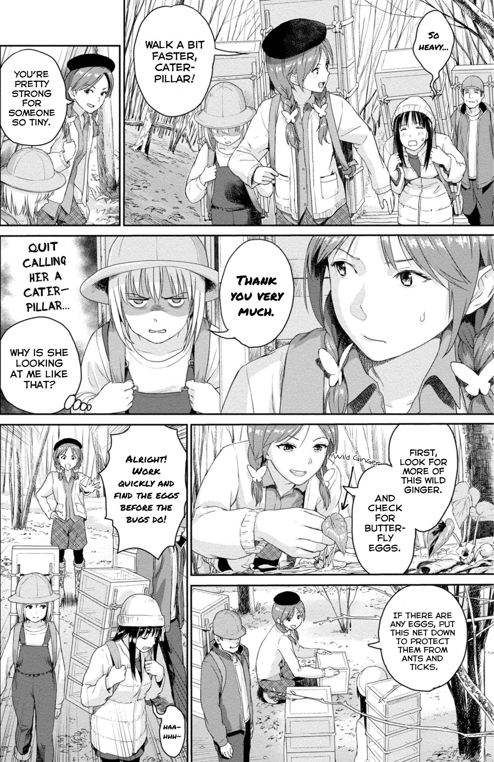 Page 6 Chapter 4 Mais Insect Life