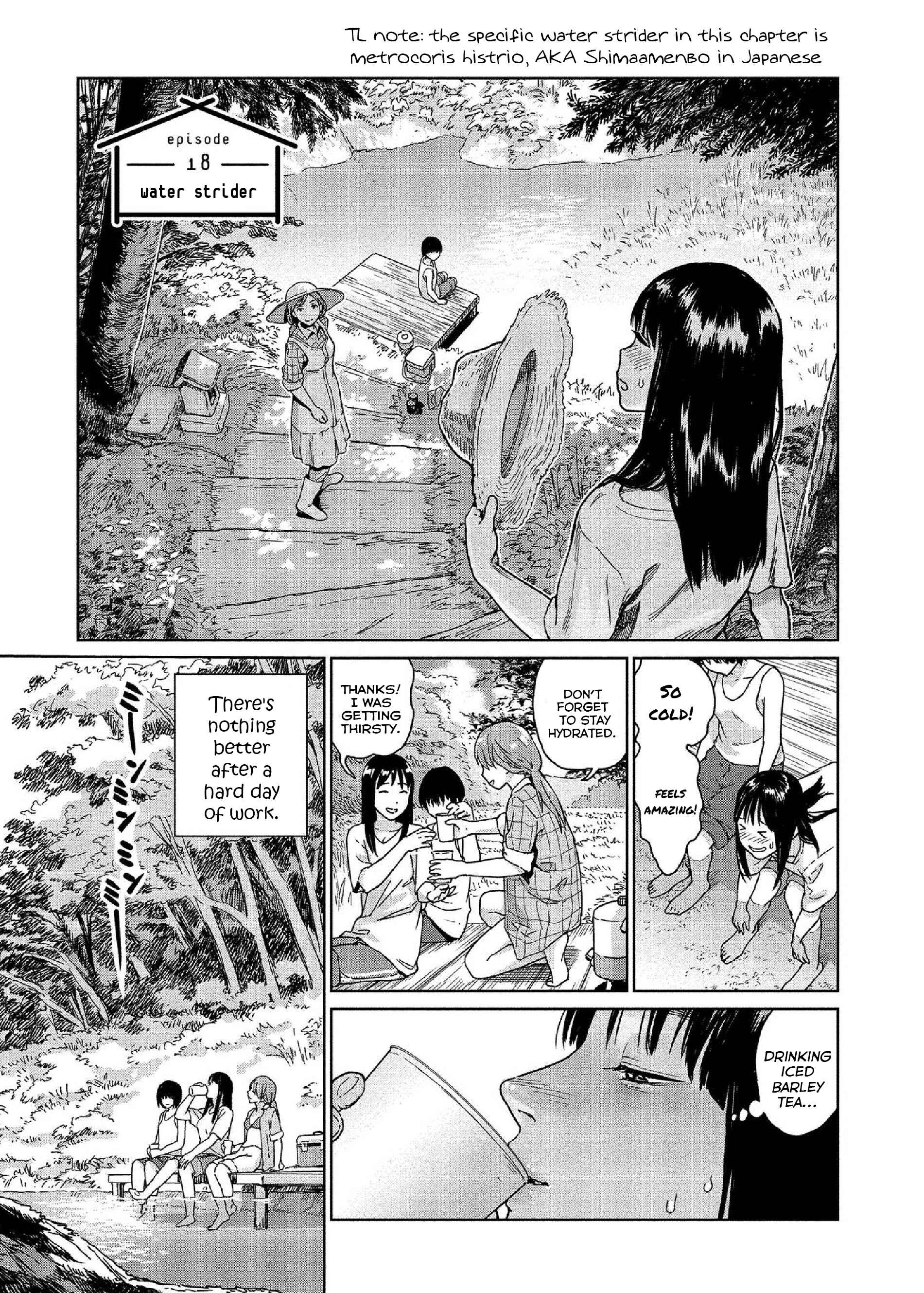 Page 1 Chapter 18 Mais Insect Life