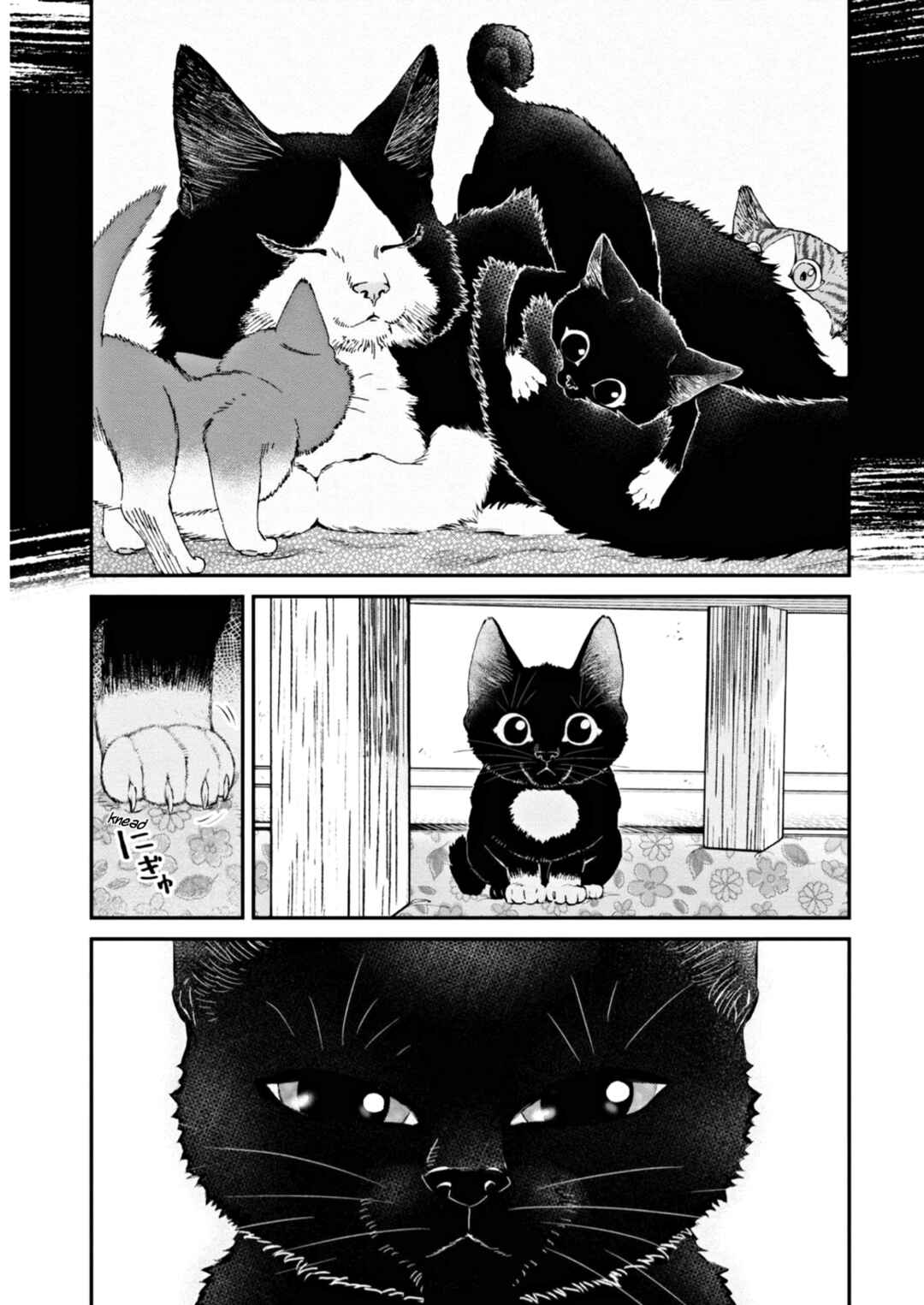 Page 13 Chapter 7 Hosomura-san and the Cats Snack