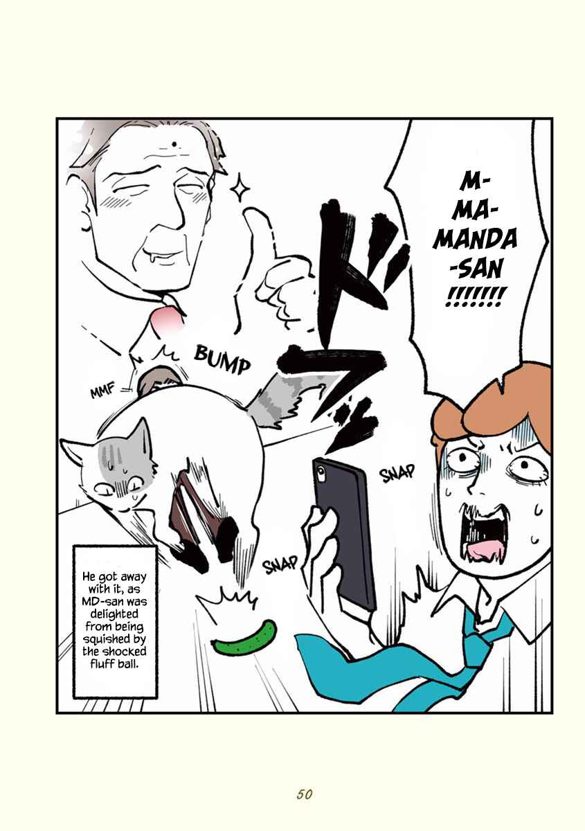 Page 7 Chapter 5 A Black Companys Employee Became a Cat, a Life-changing Story.