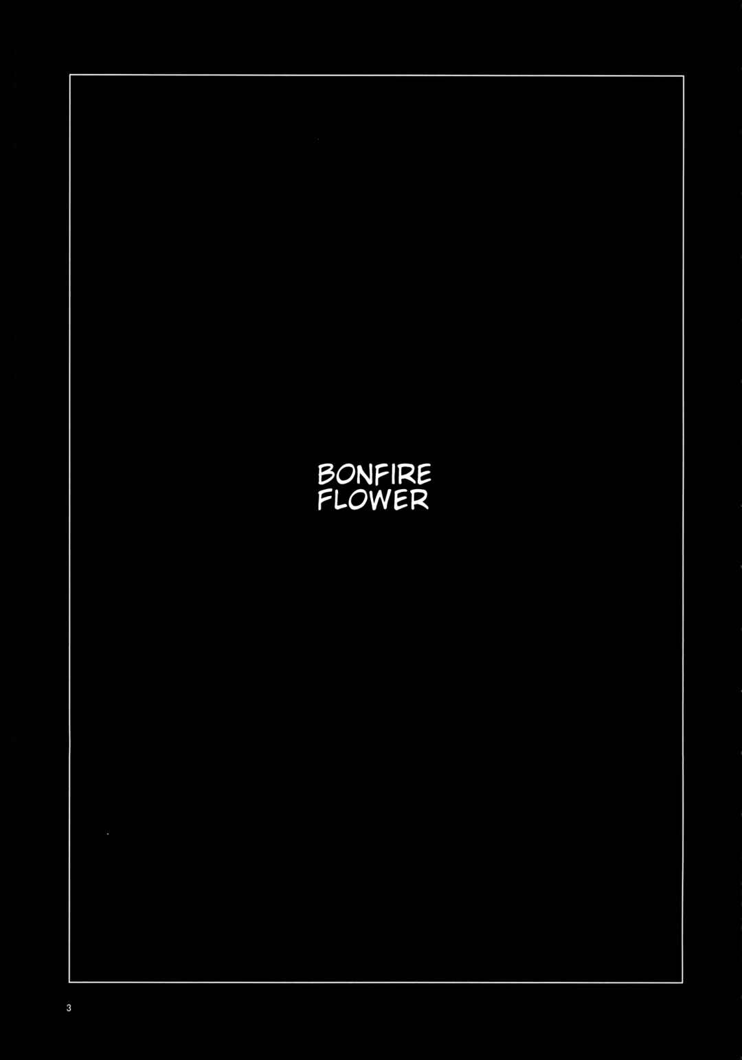 Page 2 Chapter Unknown_779d Touhou Project - Bonfire Flower (Doujinshi)