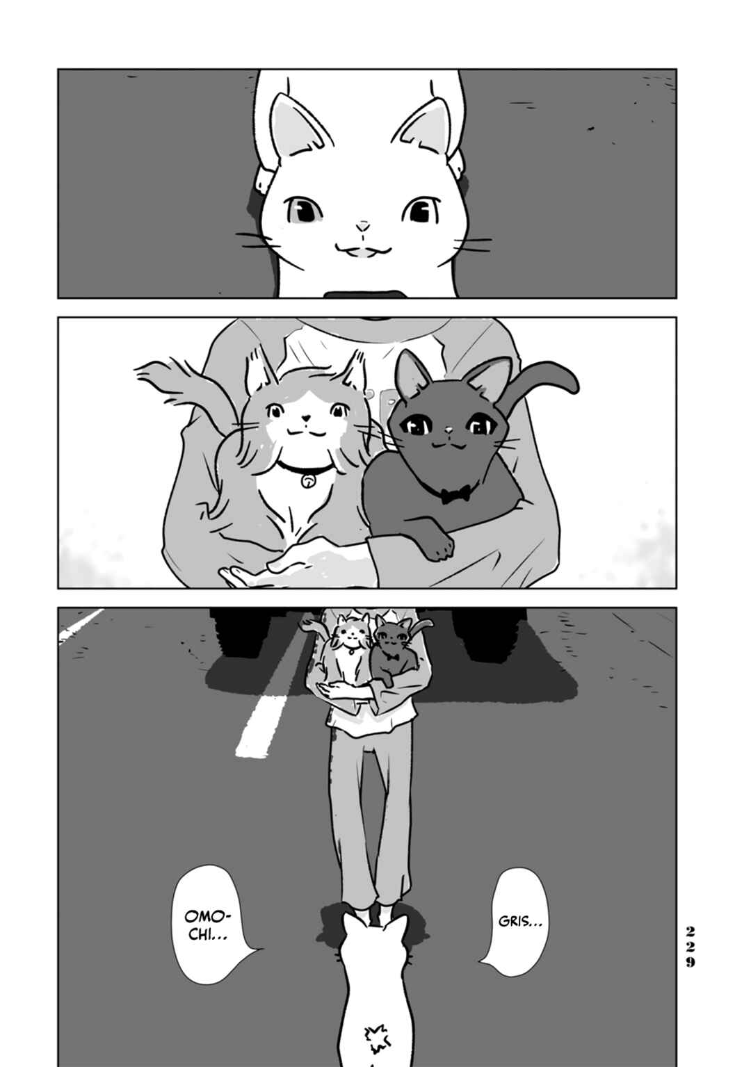 Page 19 Chapter 11 No cats were harmed in this comic.