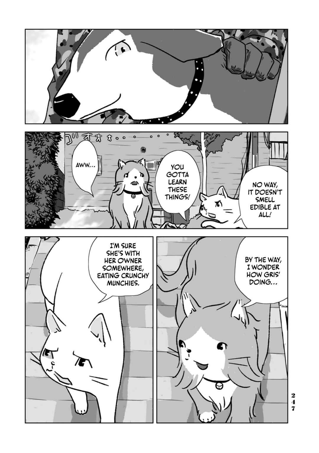 Page 3 Chapter 11.5 No cats were harmed in this comic.