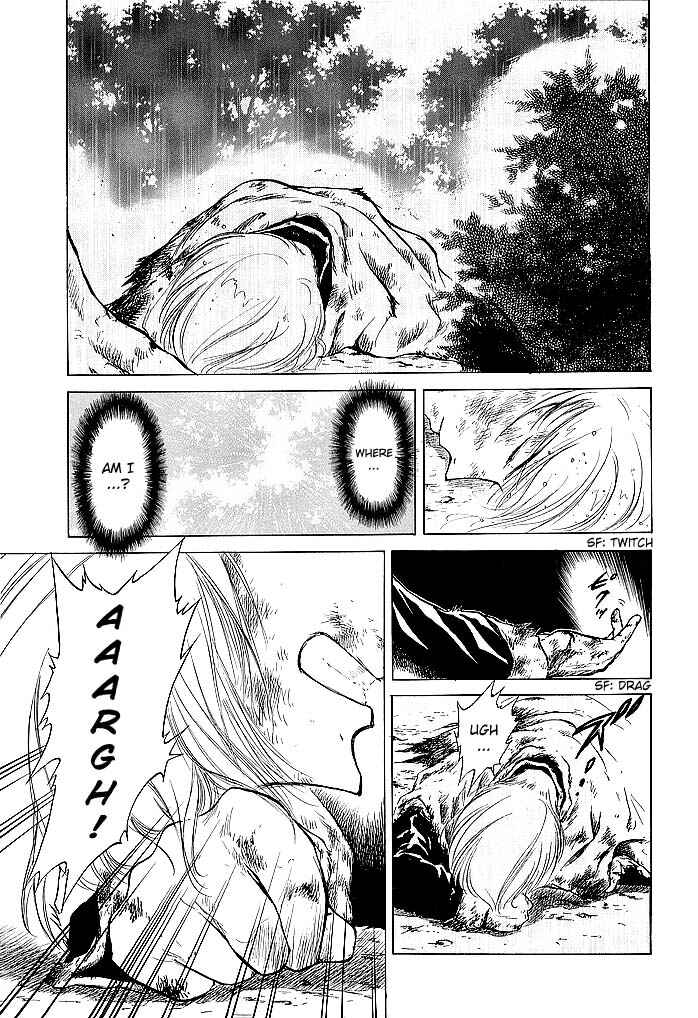Page 21 Chapter 51 Fire Emblem - Shadow Dragon and the Sword of Light