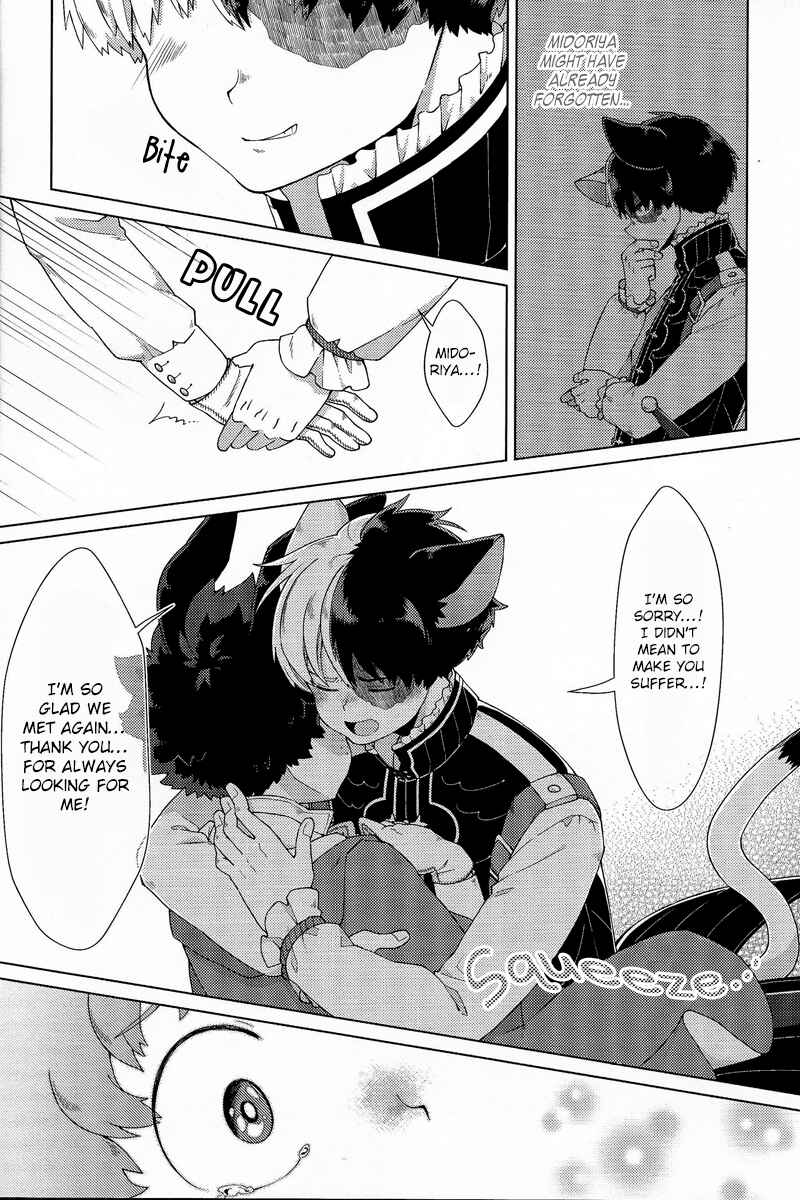 Page 21 Chapter Unknown_8735 Boku no Hero Academia - Ive Always Loved You (Doujinshi)