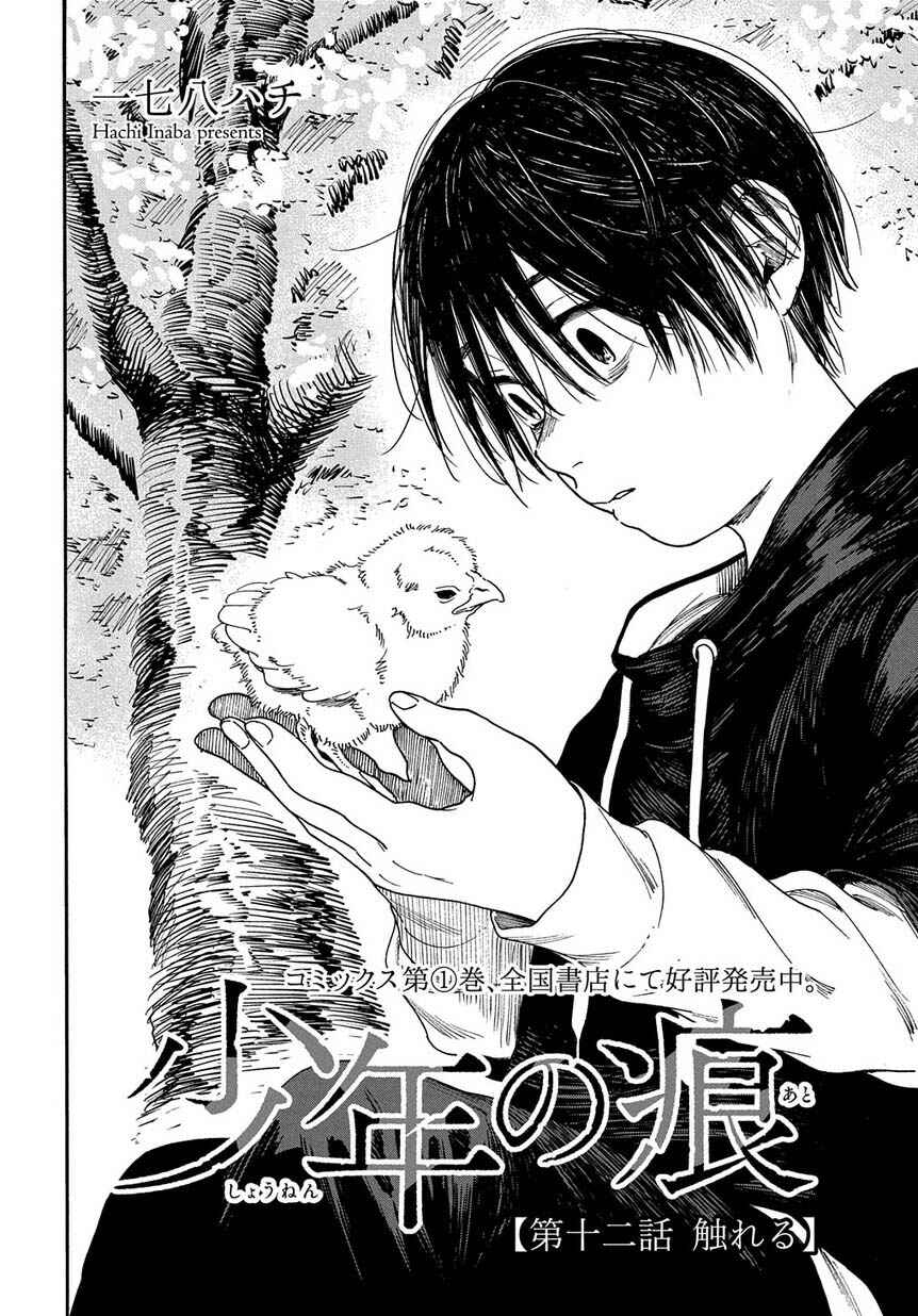 Page 3 Chapter 12 A Boys Scar