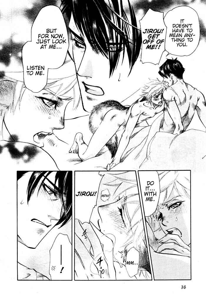 Page 29 Chapter 1 Three Wolves Mountain