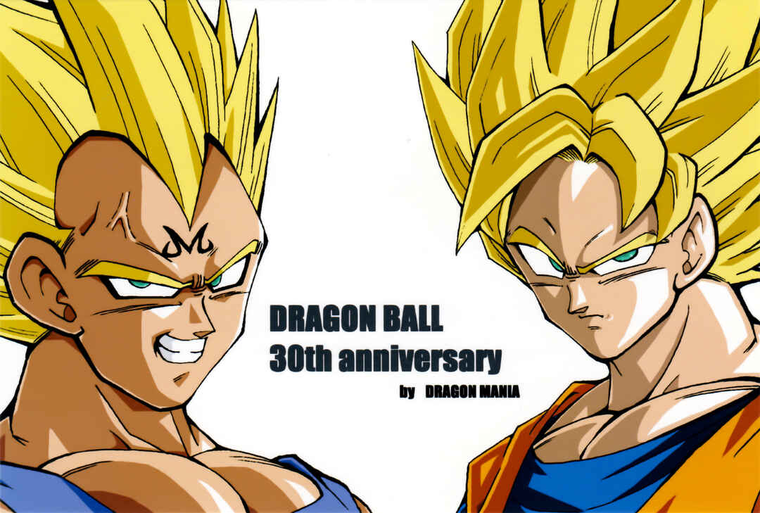 Page 91 Chapter Unknown_8356 Dragon Ball LE (Doujinshi)