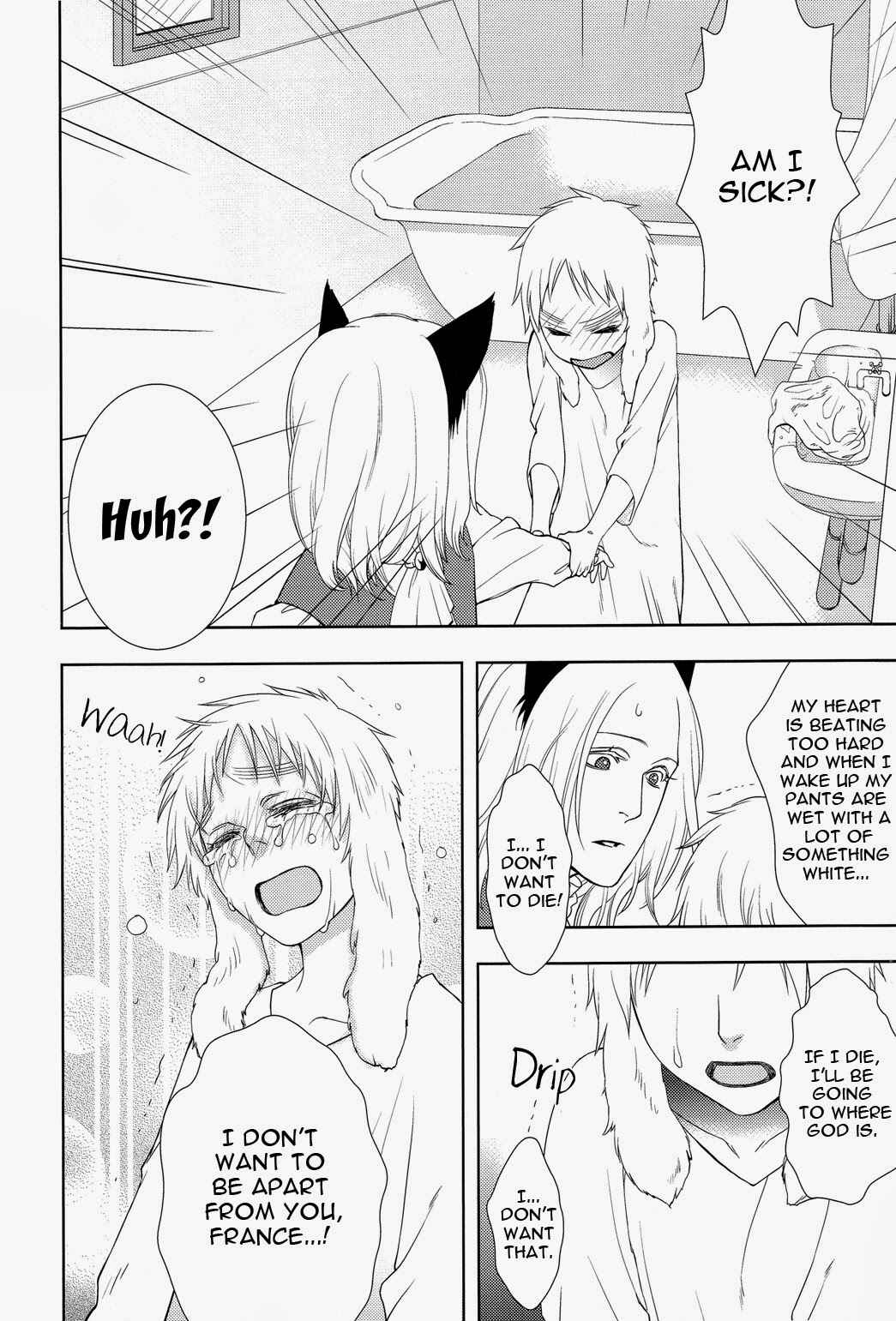 Page 20 Chapter Unknown_ea0c Hetalia - Koiwazurai, Kimi to Futari (Doujinshi)