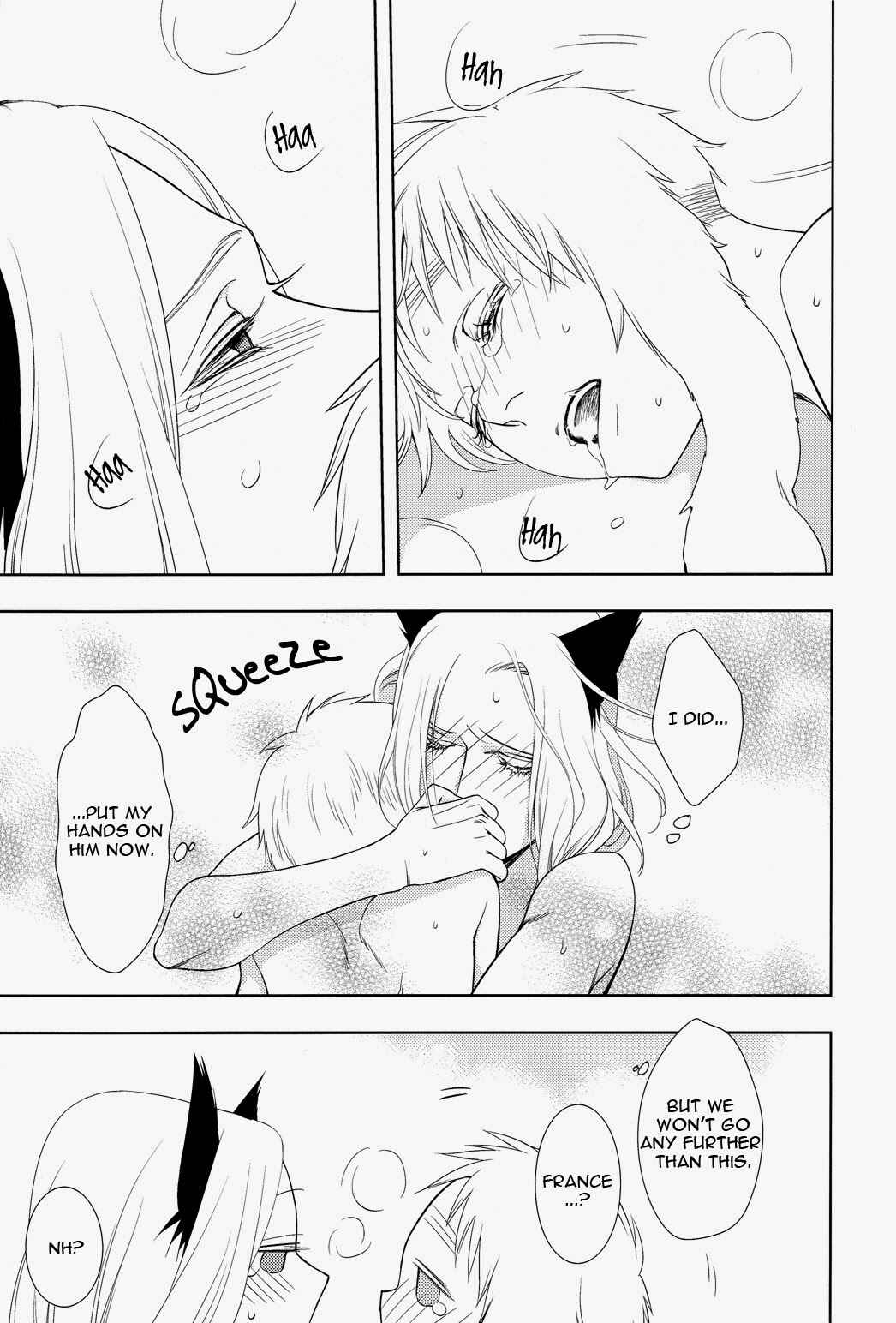 Page 29 Chapter Unknown_ea0c Hetalia - Koiwazurai, Kimi to Futari (Doujinshi)
