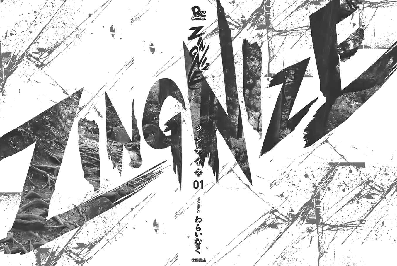 Page 31 Chapter 5 ZINGNIZE