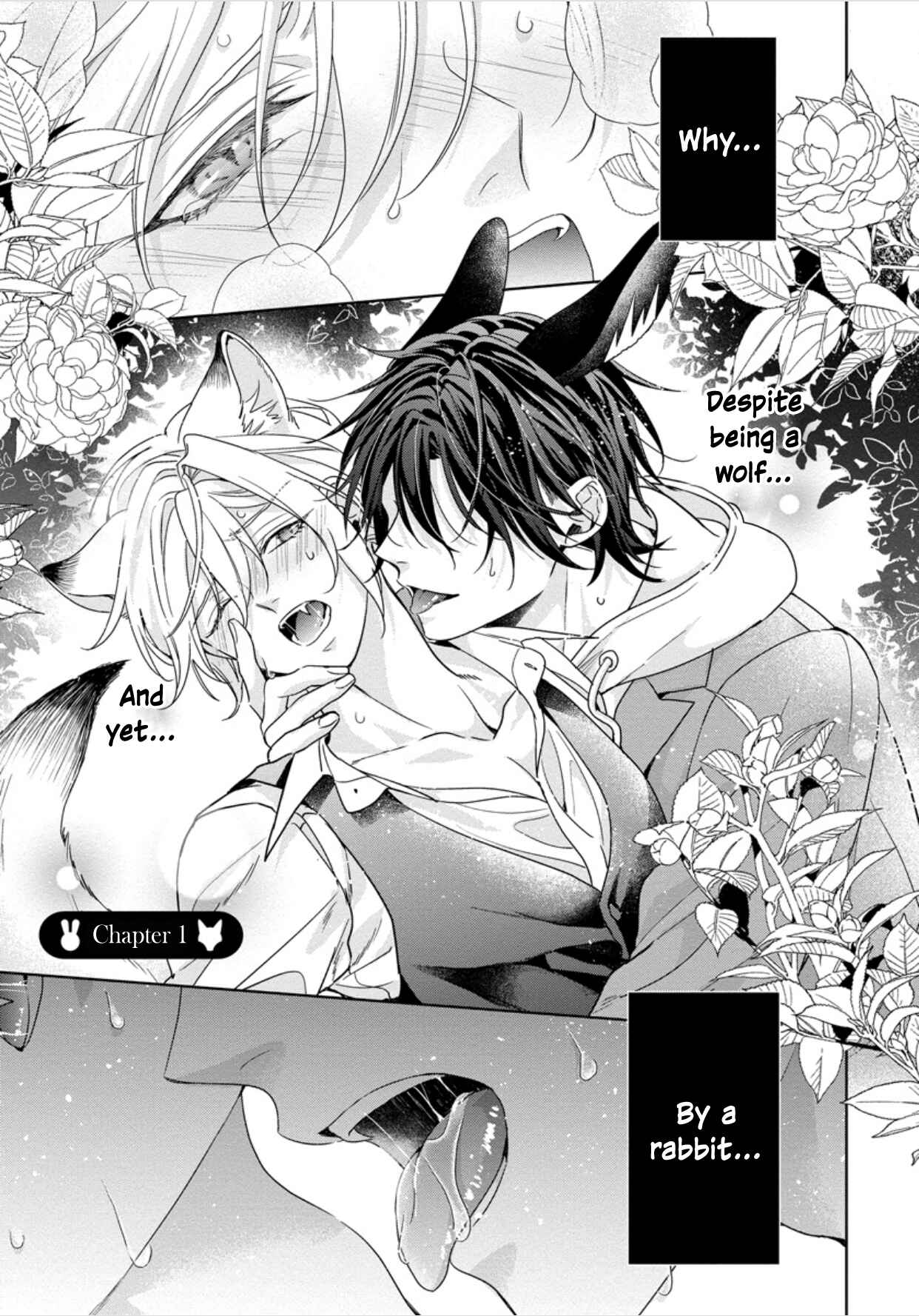 Page 5 Chapter 1 Itadakimasu, Ookami-san.