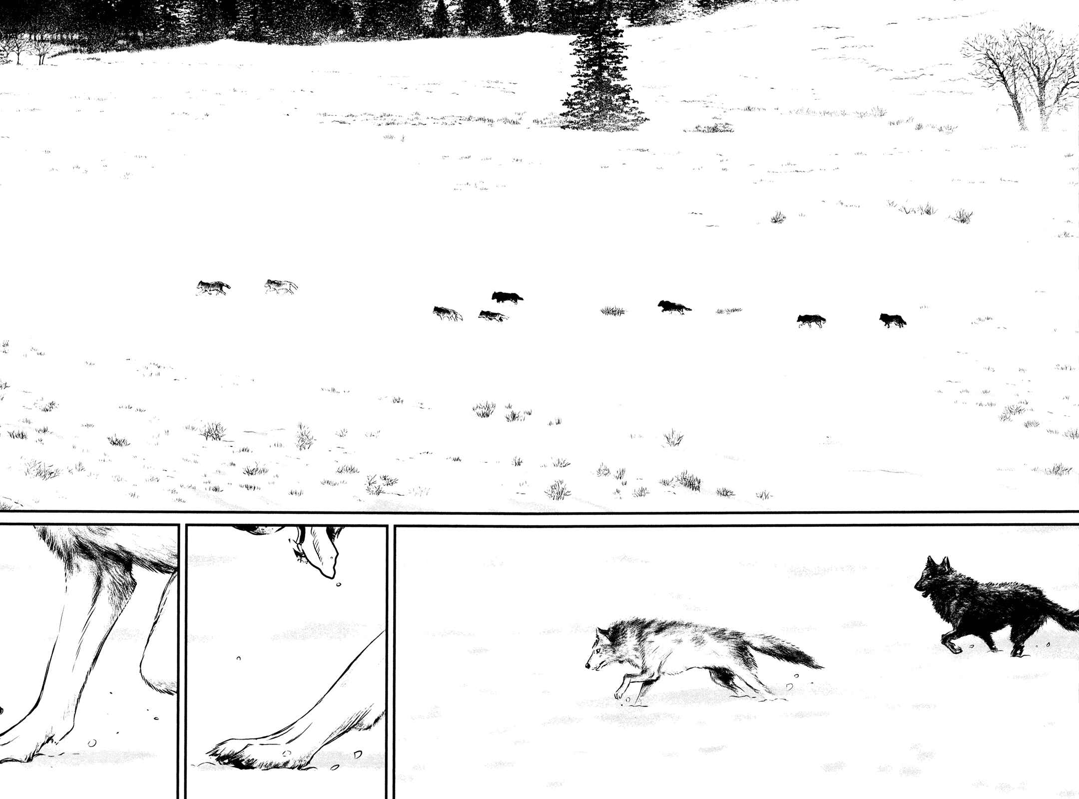 Page 17 Chapter 115 Wolf Guy - Emblem of the Wolf