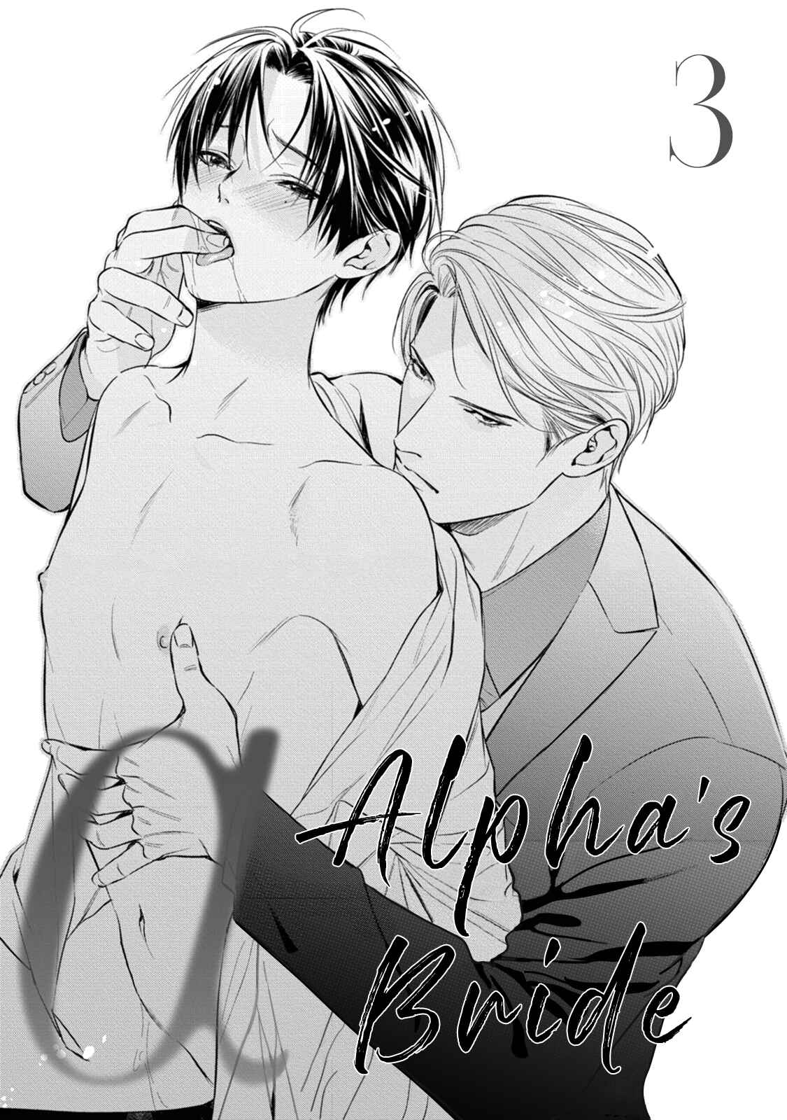 Page 3 Chapter 3 The Alphas Bride