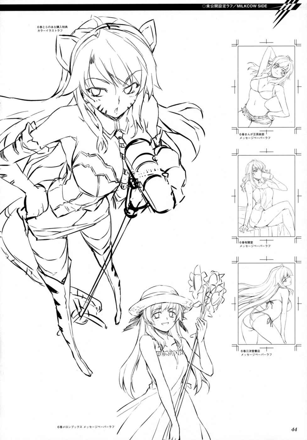 Page 13 Chapter 2 Cross Make