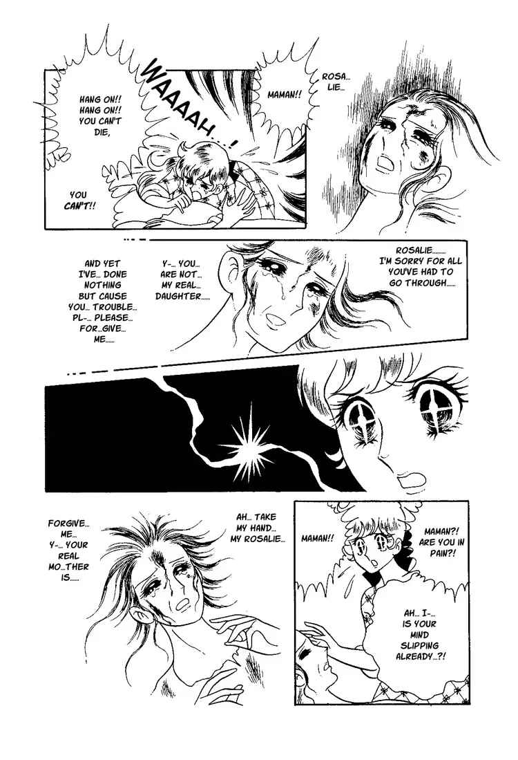 Page 19 Chapter 12 The Rose of Versailles