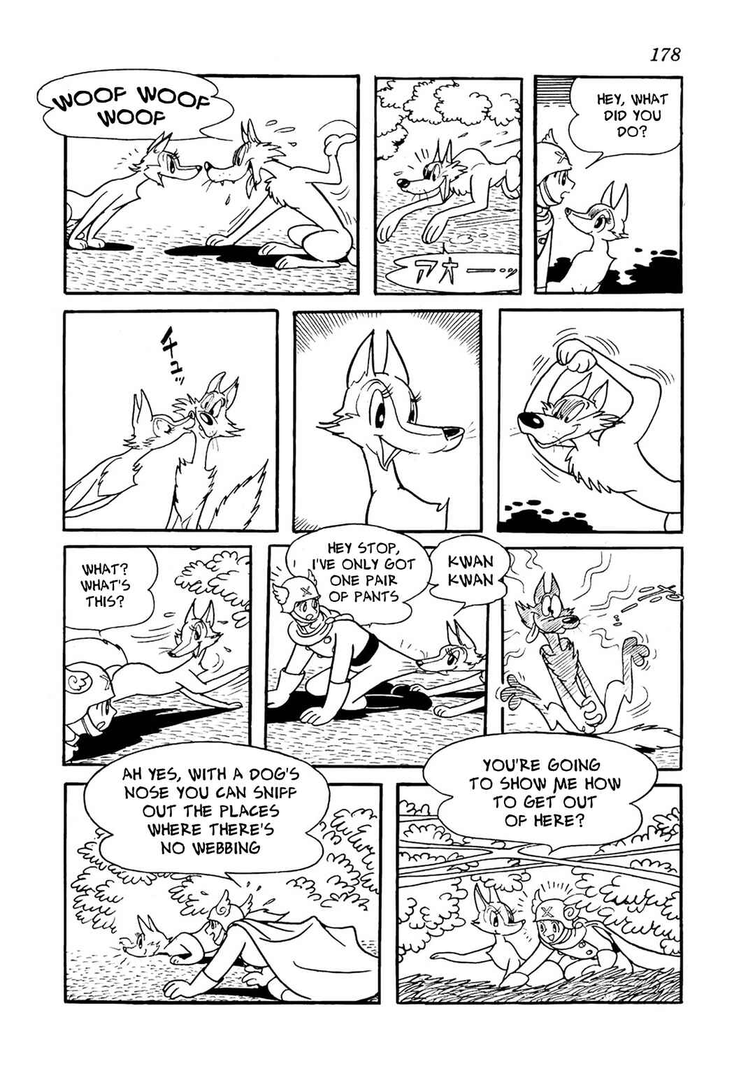 Page 26 Chapter 10 Big X