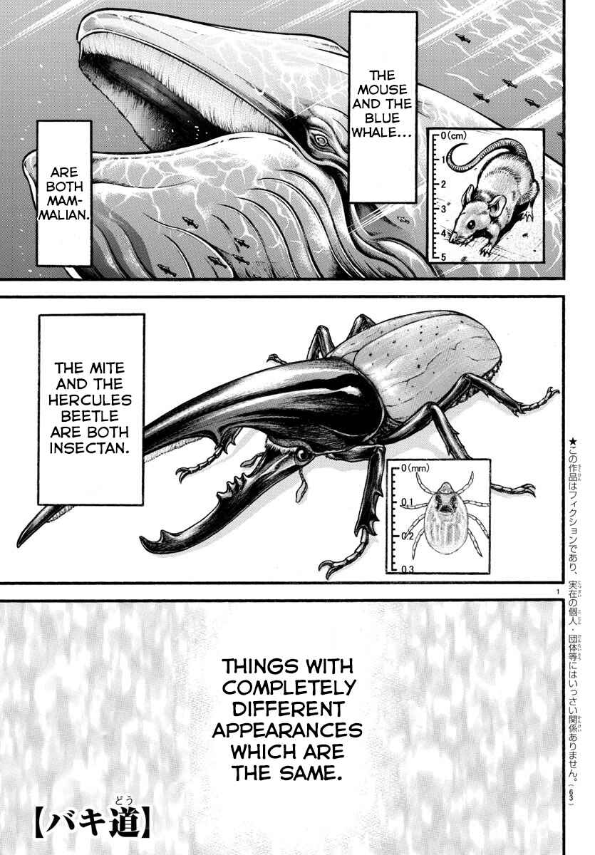 Page 1 Chapter 17 Bakidou