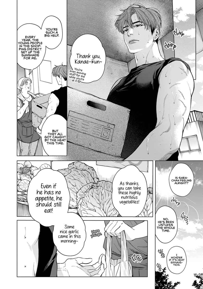 Page 8 Chapter 5 Gomidame no Garnet