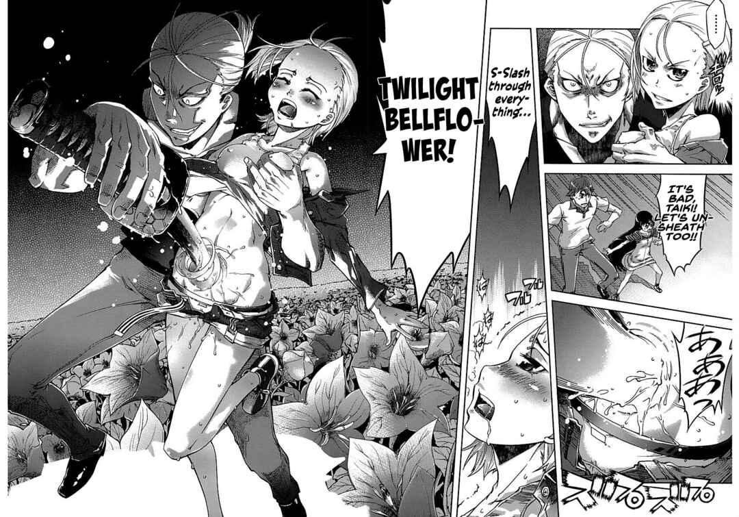 Page 12 Chapter 7 Blade Breaker