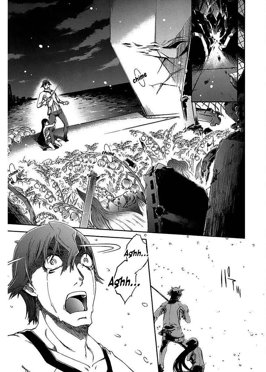 Page 25 Chapter 21 Blade Breaker