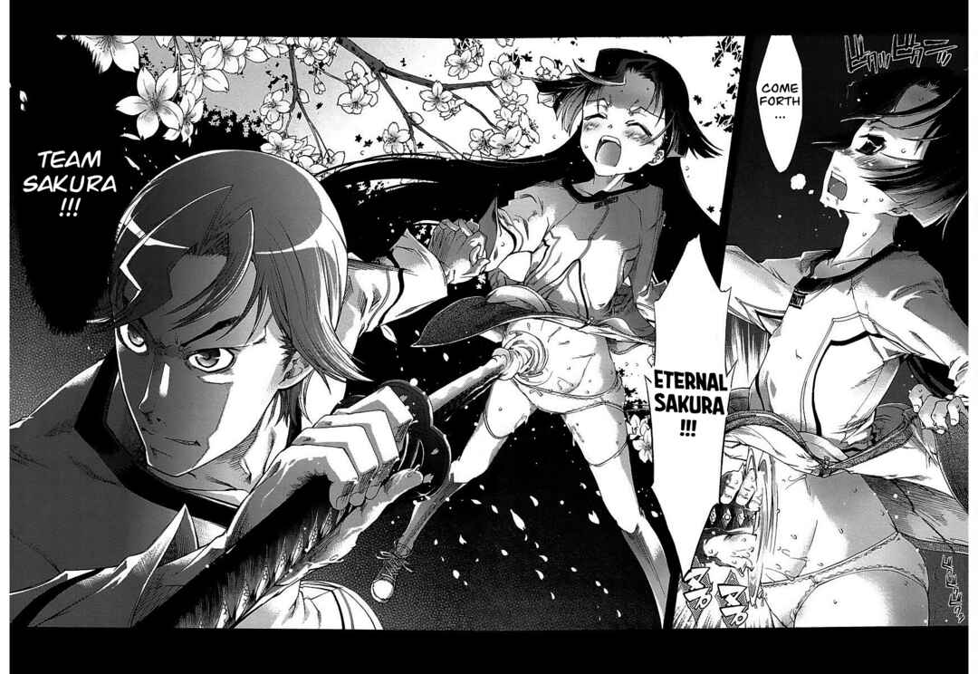 Page 5 Chapter 13 Blade Breaker