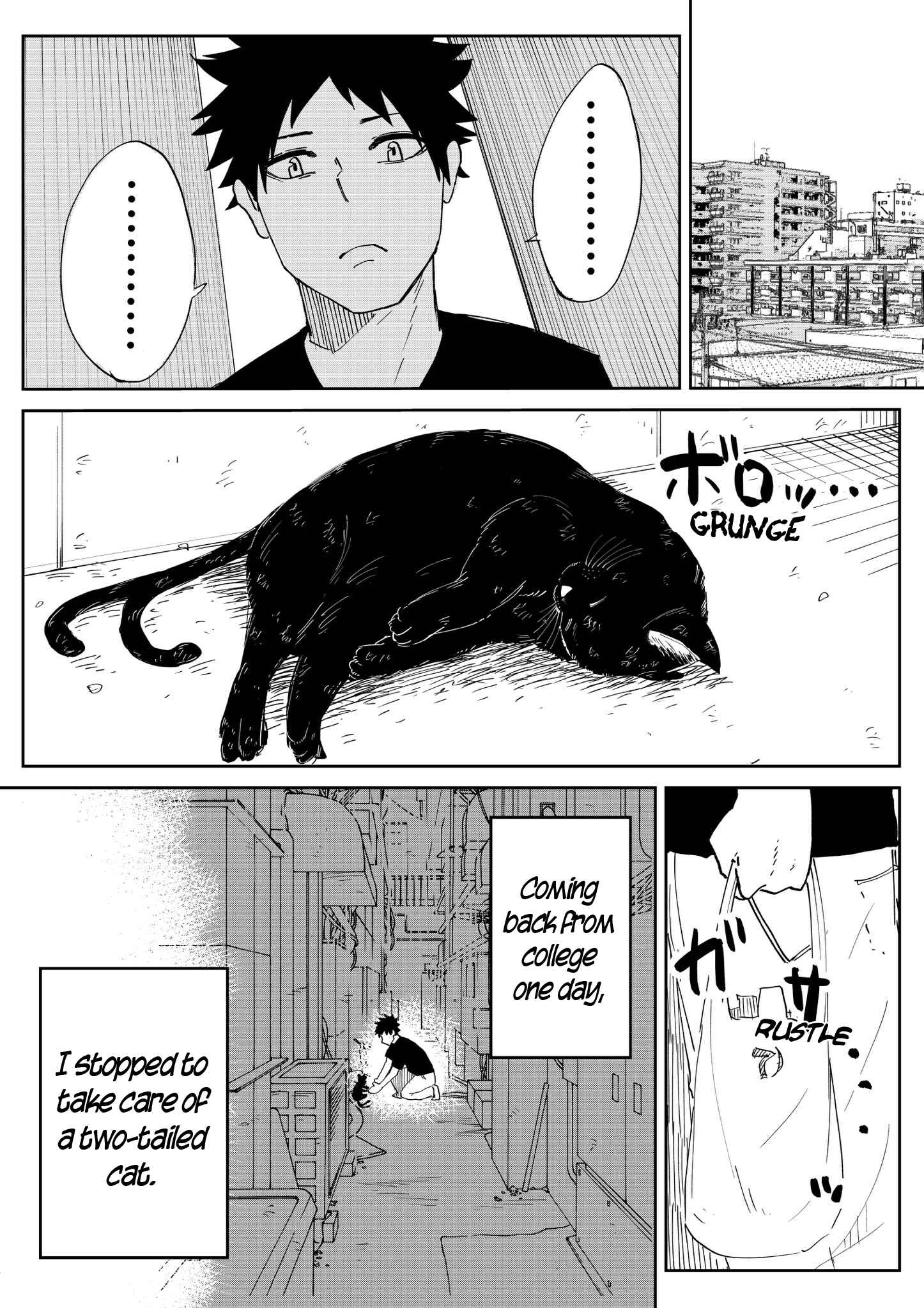 Page 1 Chapter 1 The Cat Who Wanted to be a Bride