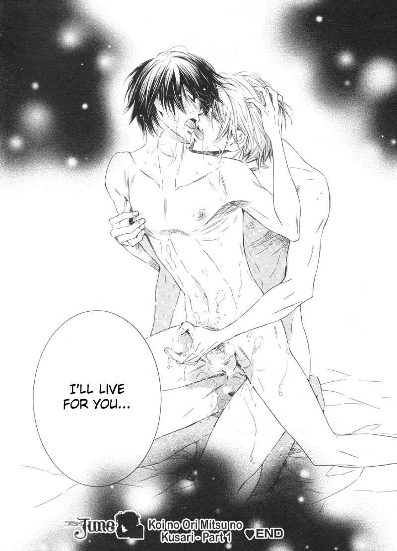 Page 27 Chapter Unknown_625c Koi no Ori Mitsu no Kusari